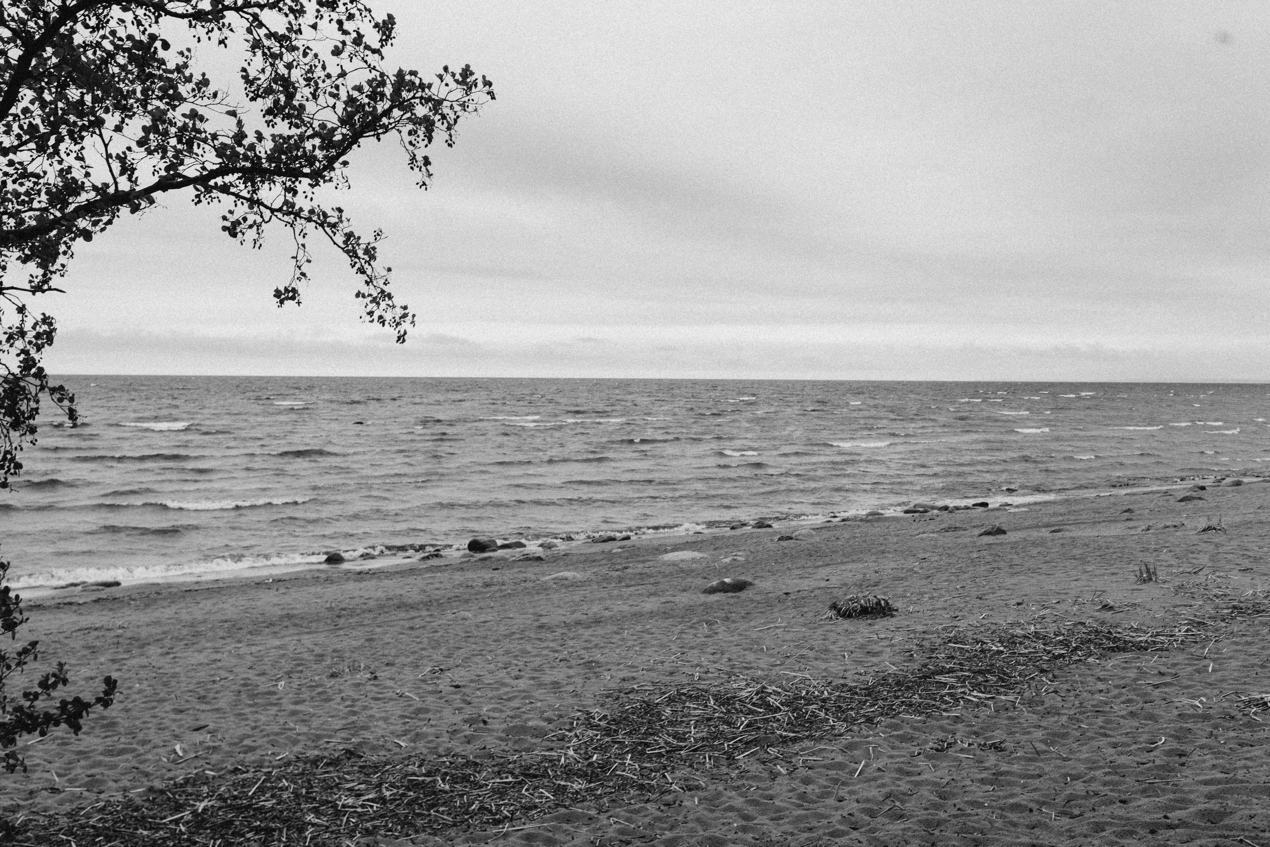 Русская рыбалка. Фотограф Анастасия Платонова | Санкт-Петербург