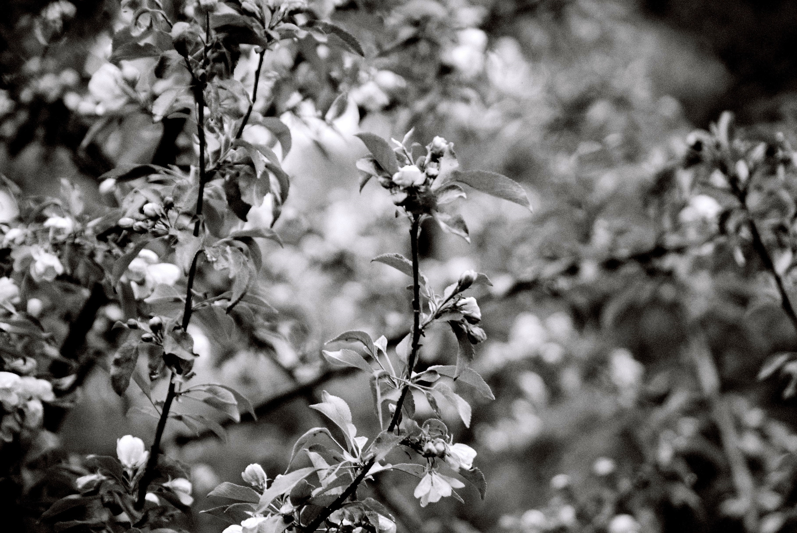 Film. Ruslan UI Dev Page