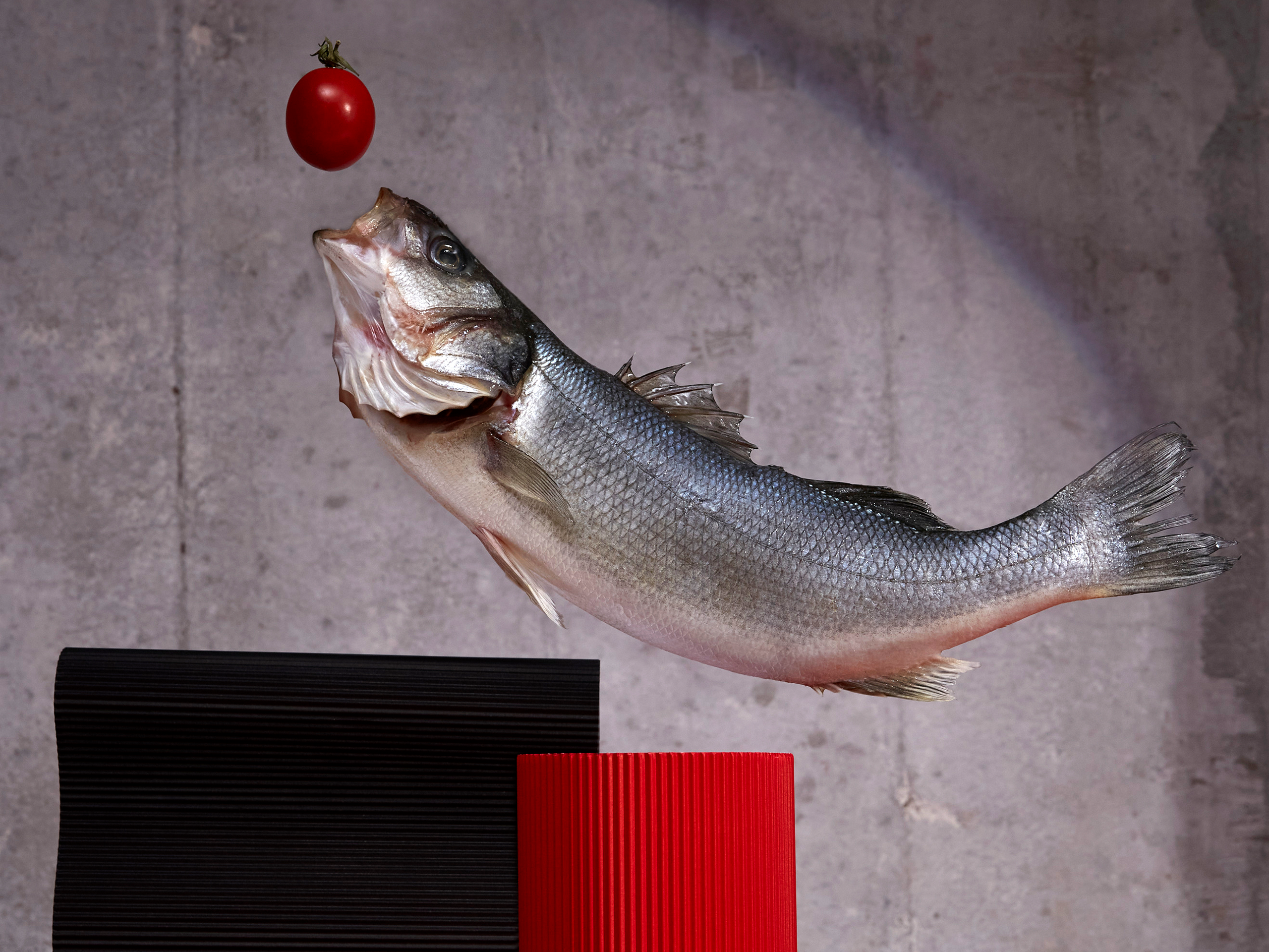 Personal stilllife project. Аксёнова Оля — сет-дизайнер, художник-постановщик, Москва