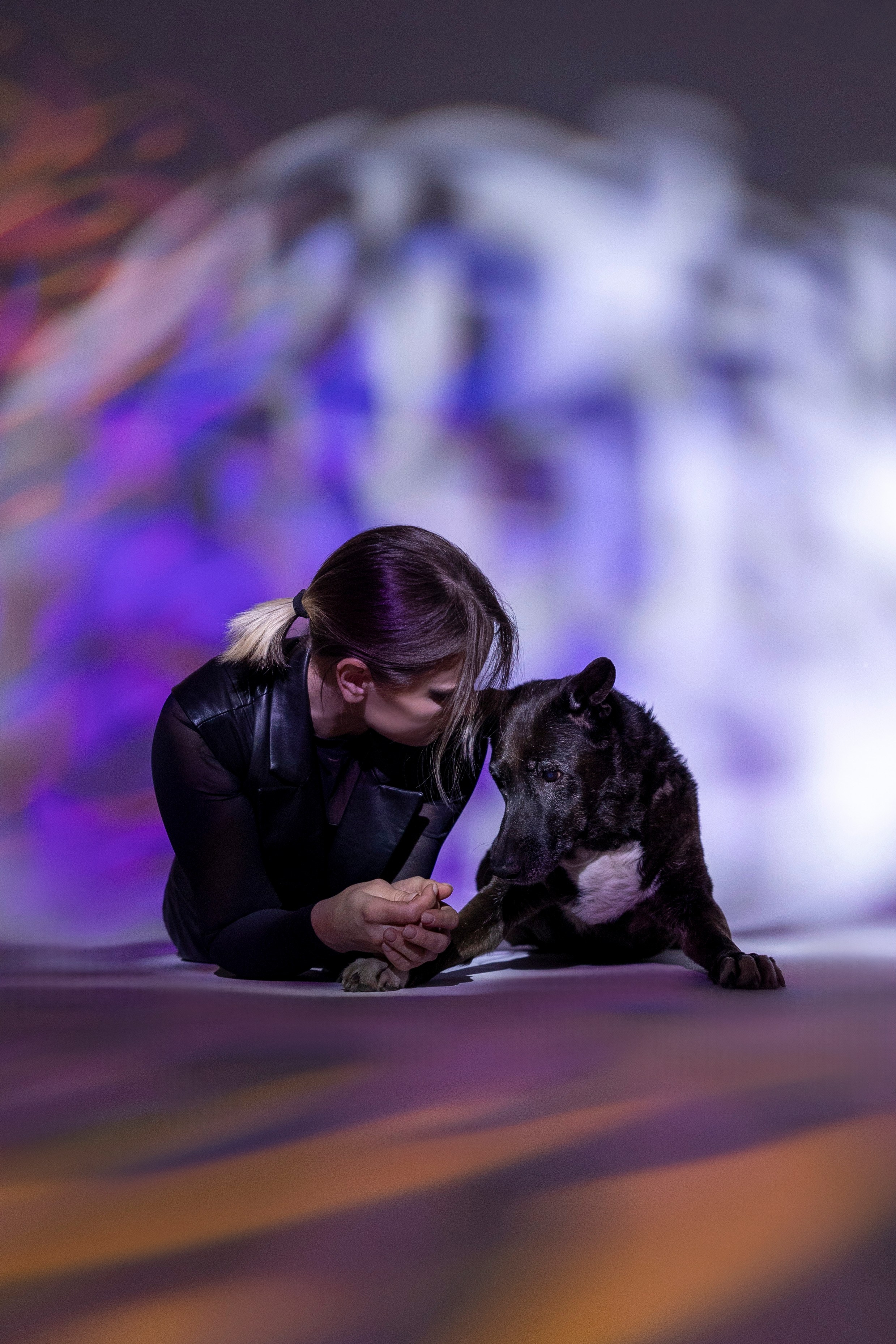 Съемка в студии с собакой. Анастасия Белаш