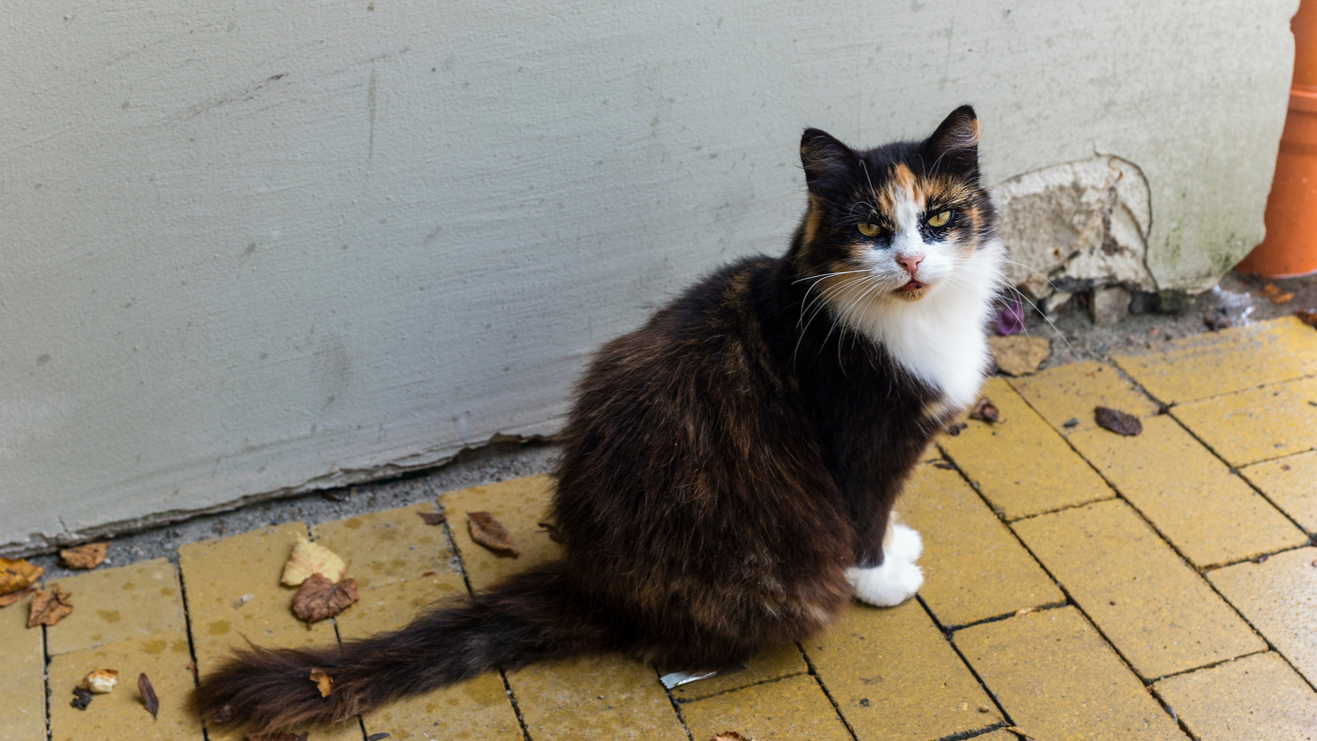 Куршская коса. Фотограф-путешественник Самойлов Максим «Sly Fox»