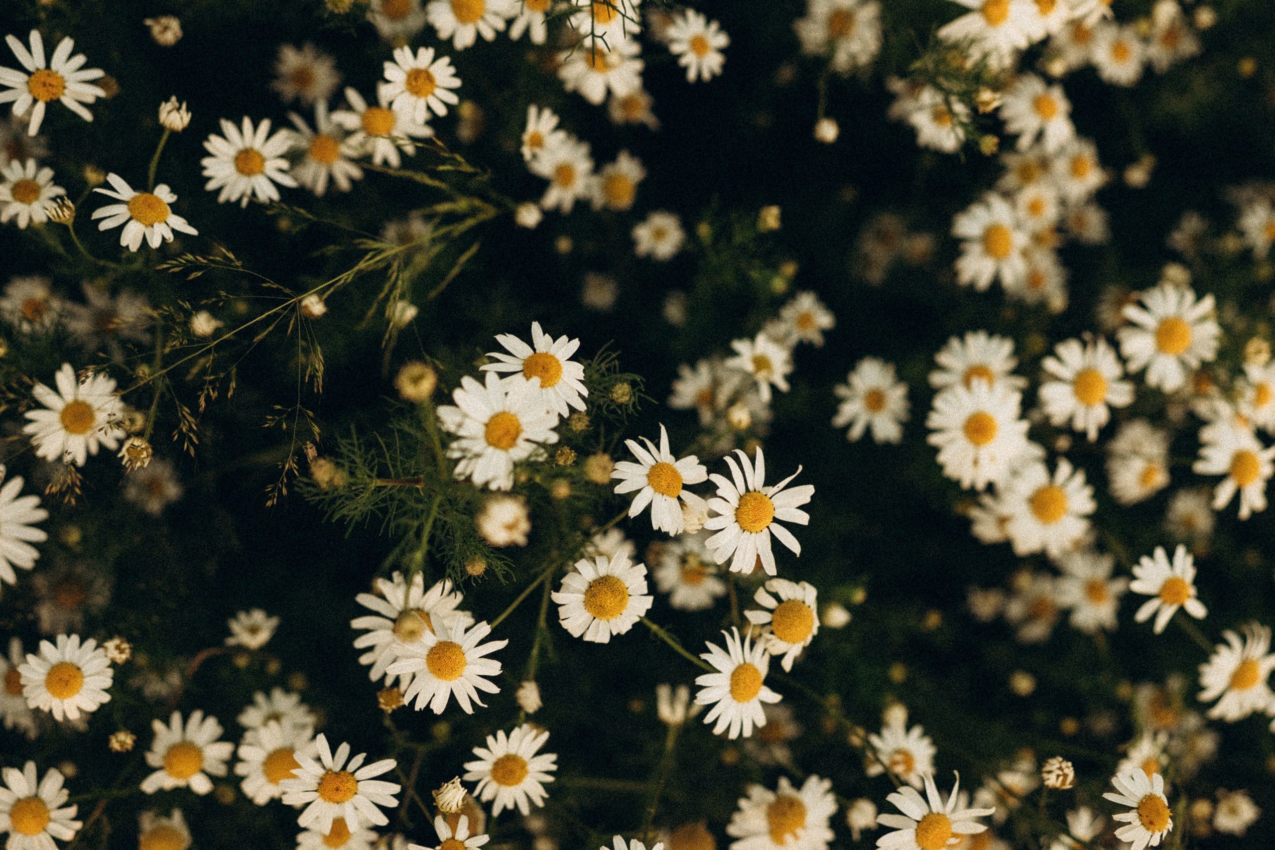 В ожидании. Семейный фотограф в Мурманске Екатерина Юшкова