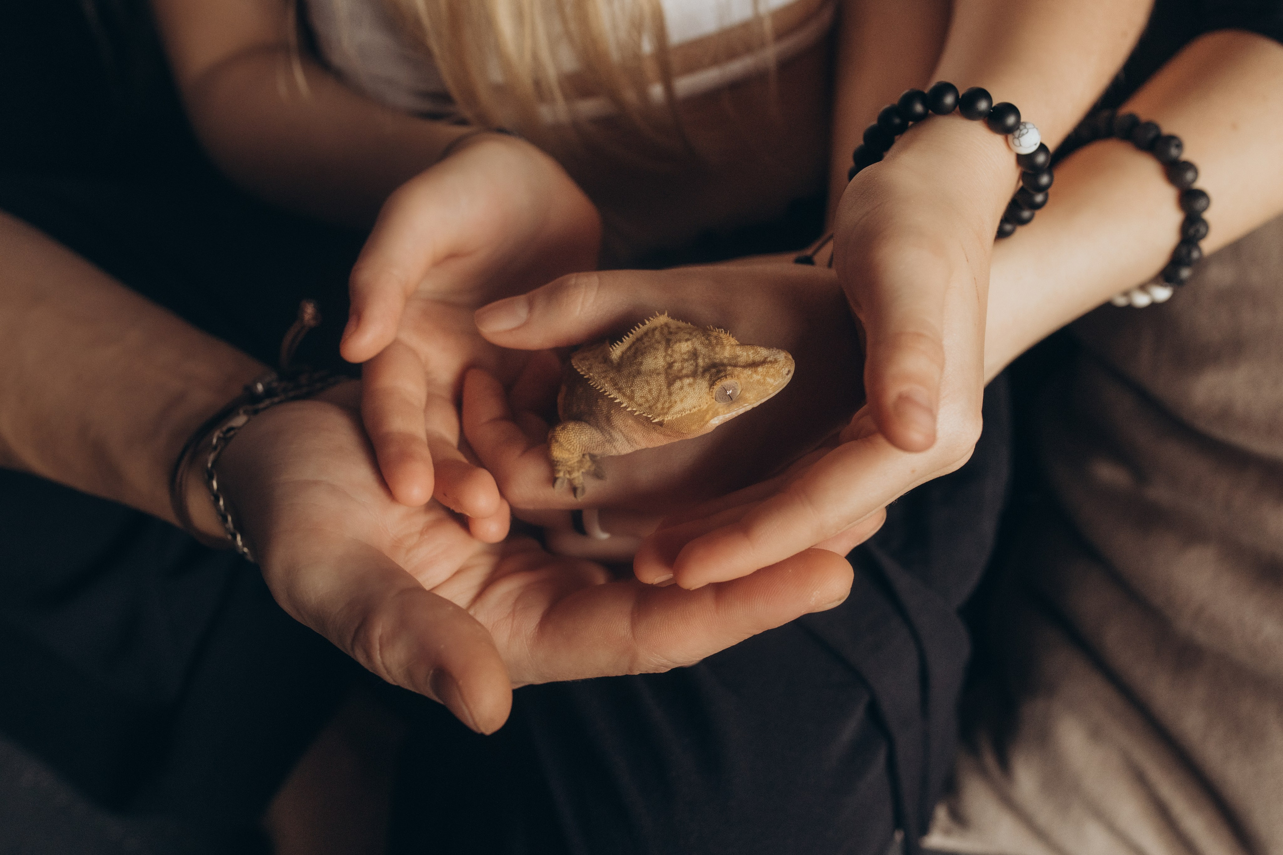 17 лет счастья. Свадебный и семейный фотограф в Белгороде Евгения Курочкина