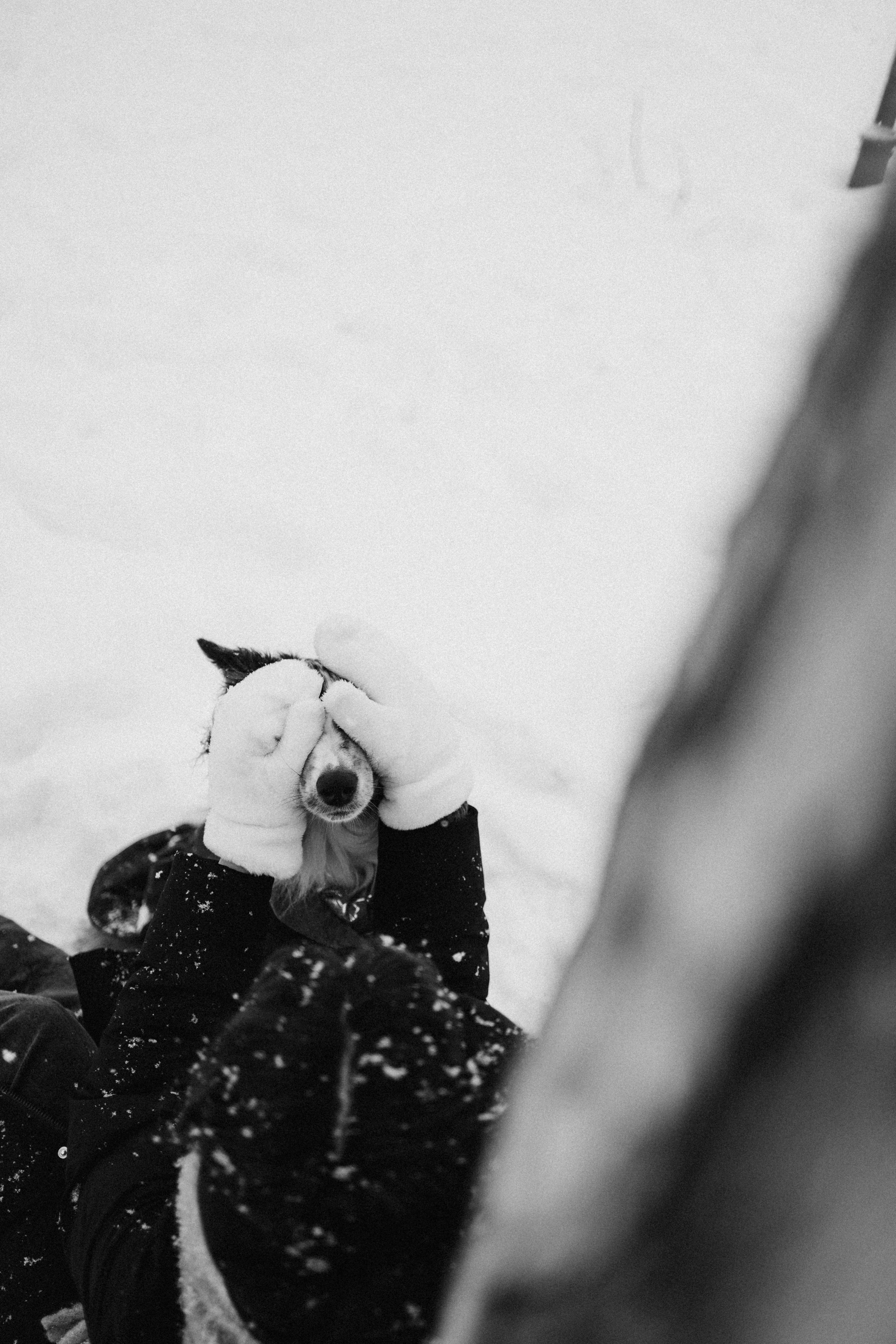 Настя и Тор. Фотораф — анималист Мария Шистка