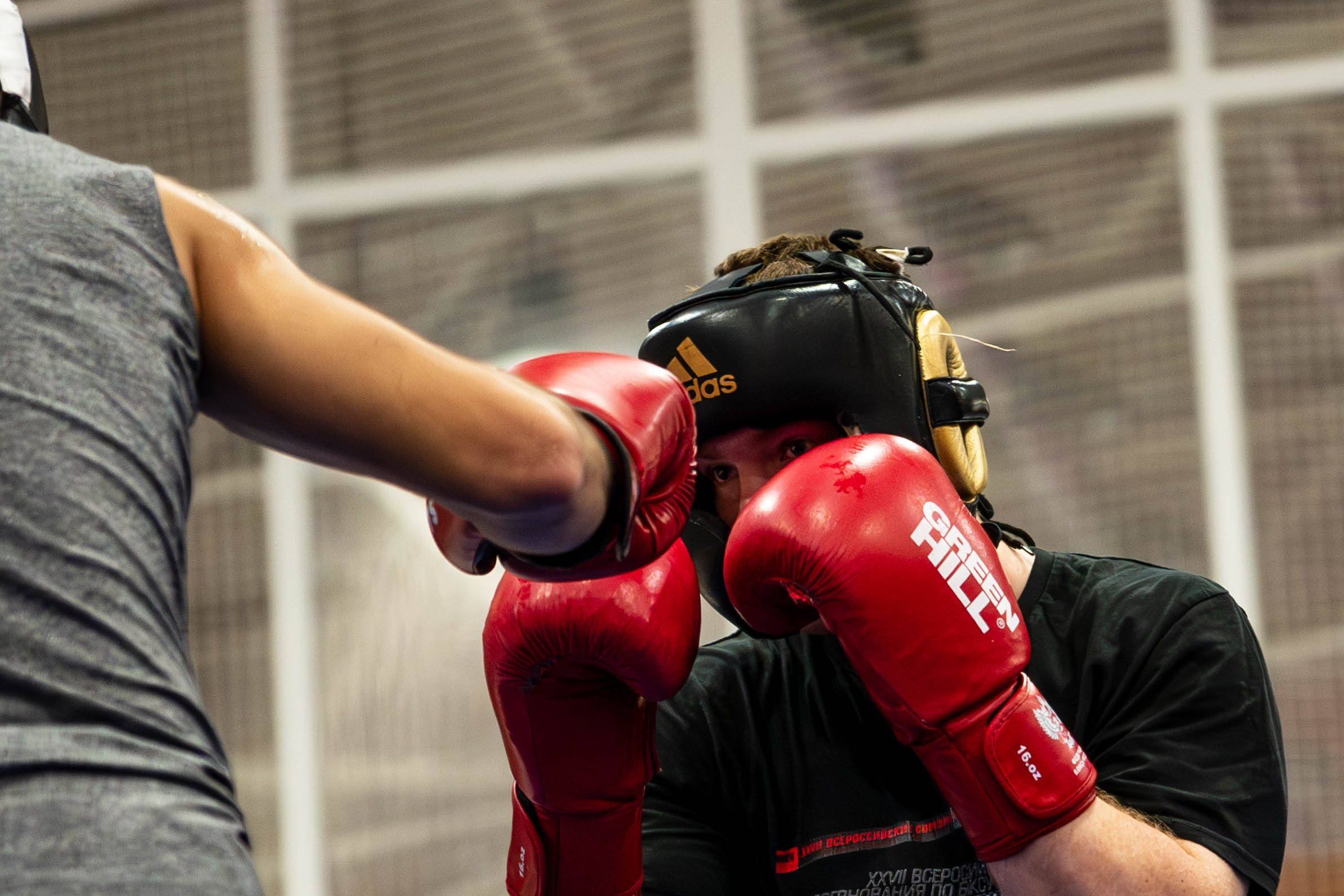 Тренировка Сборной Кикибоксинга РФ. Октябрь, 2025. Спортивный фотограф в Туле и Тульской области. Файсханова Фото Спорт