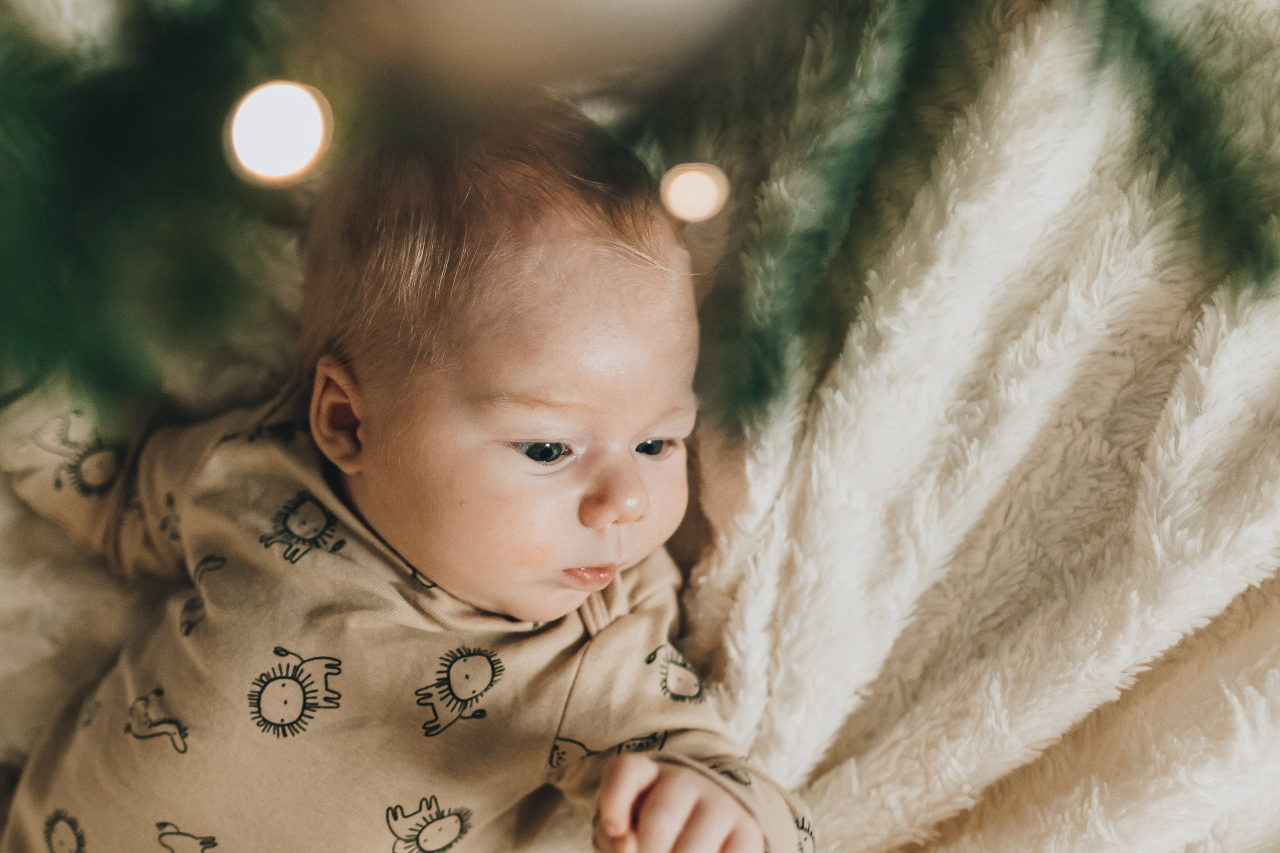 Sveta Dima Kira & Artem. Natalia Finch Photography — Family, Kids & Pet Photographer in Chicago, IL