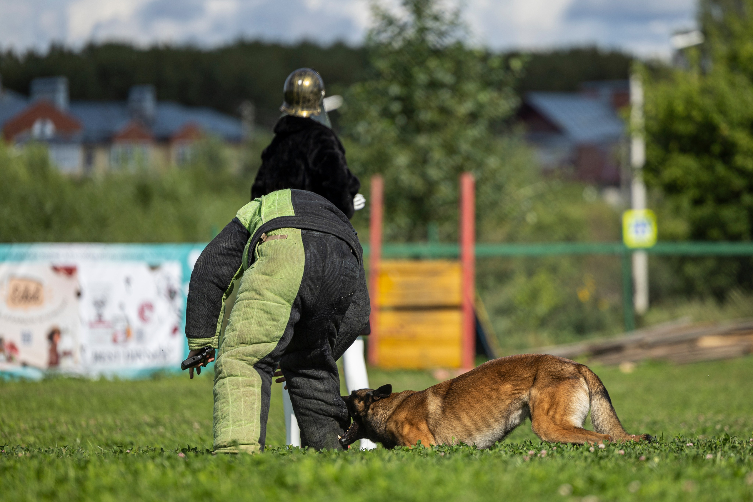 Соревнования по Мондьорингу г. Вологда 10-11.08.2024. Фотограф-анималист Анна Маринич