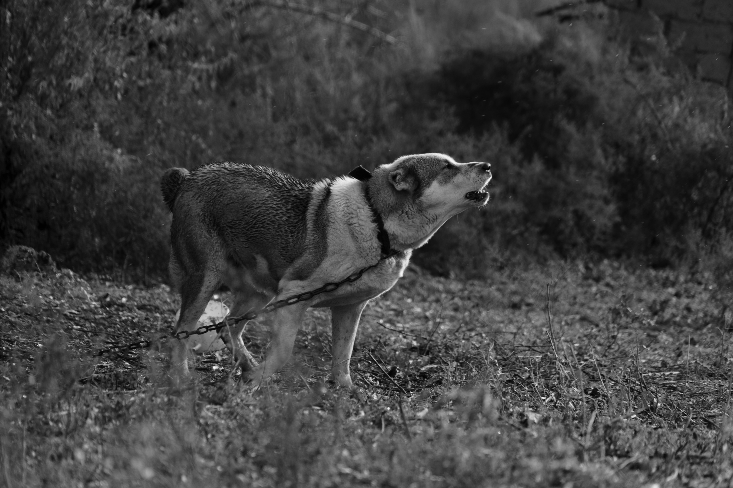 Бекстейдж сьемки кино. Профессиональная съемка в Алматы