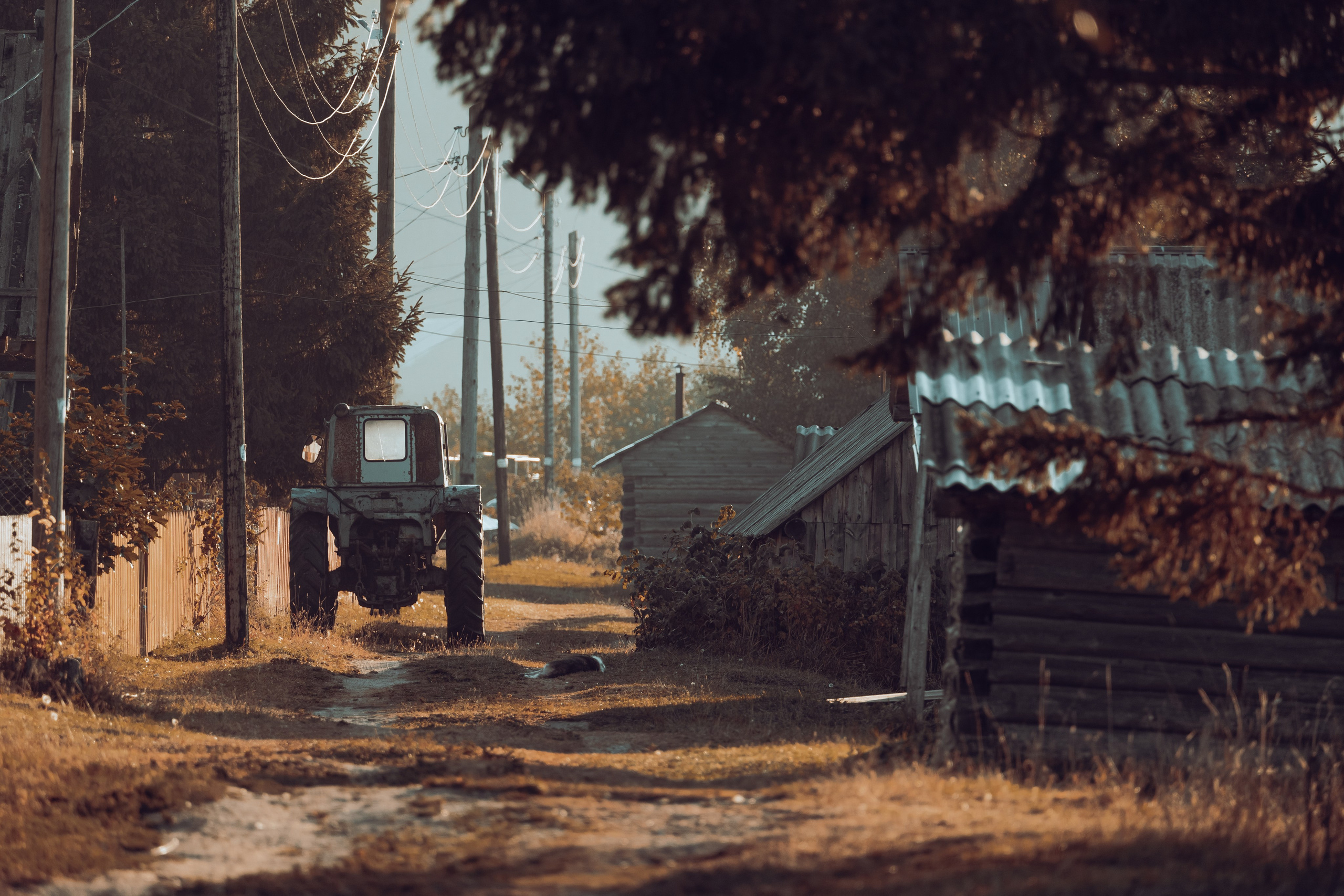 Кенозерье. Фотограф Александр Решня