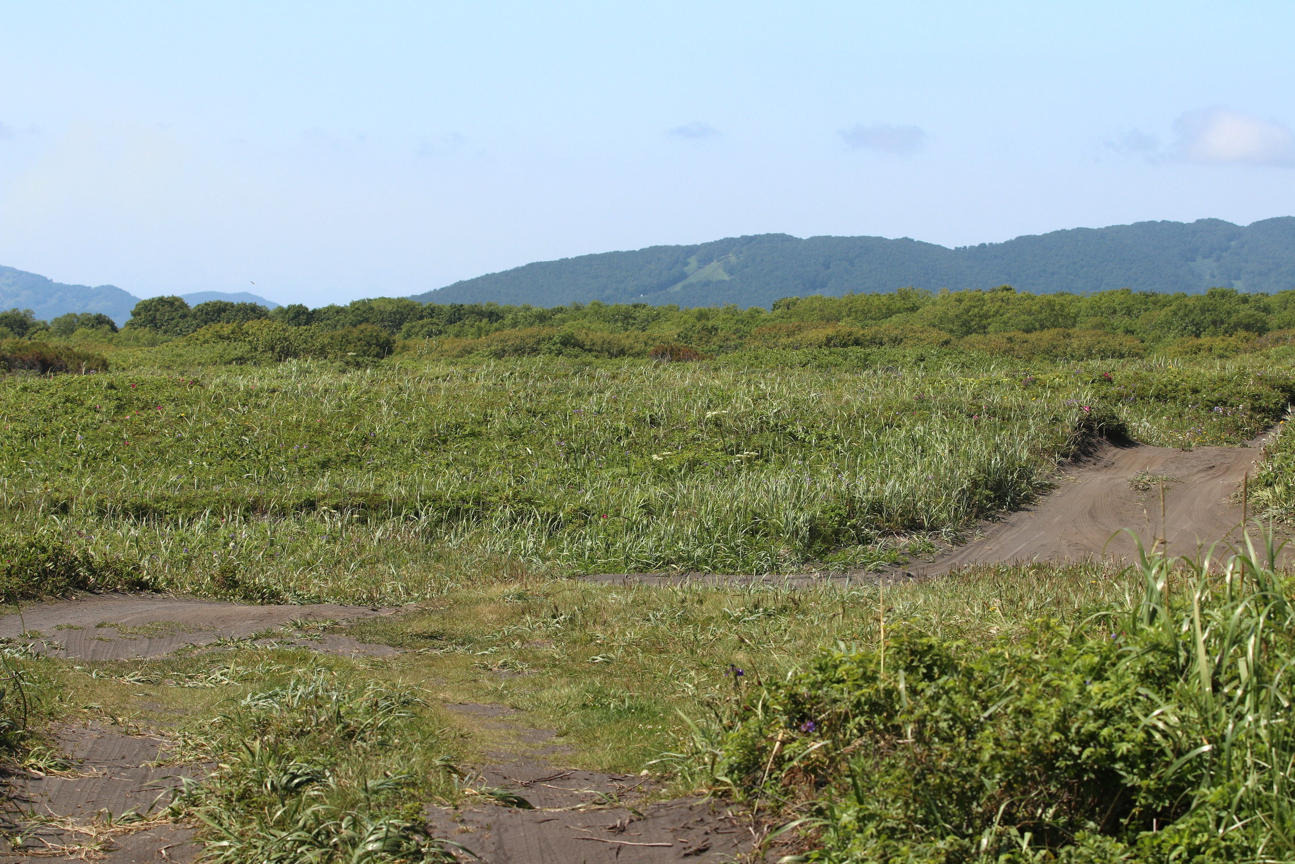 Камчатка и о. Парамушир. Июль 2024. Путешественник-фотограф из Санкт-Петербурга Татьяна Свистулина