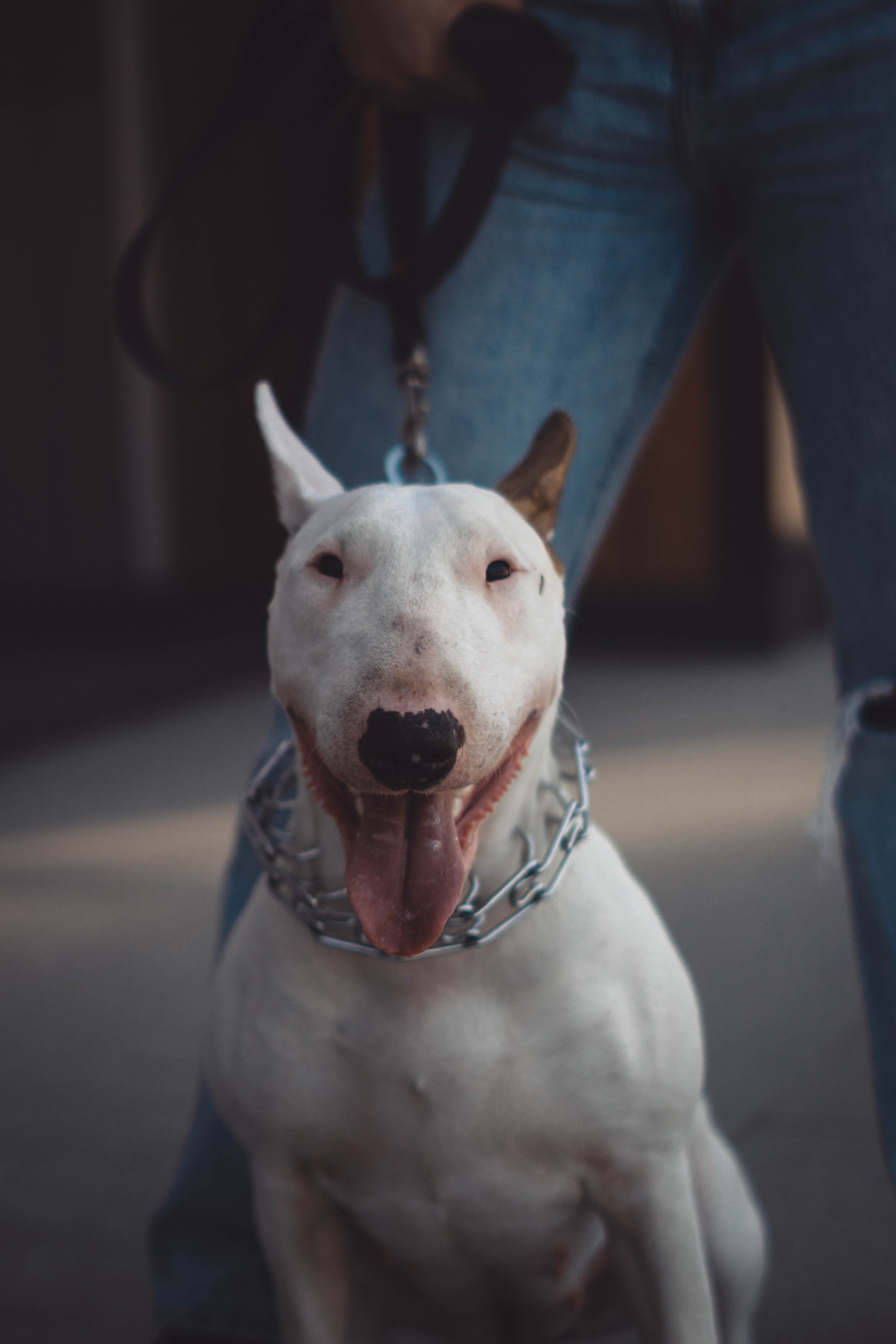 Соня и Булочка. Фотограф в Липецке и Москве Рыкова Юлия