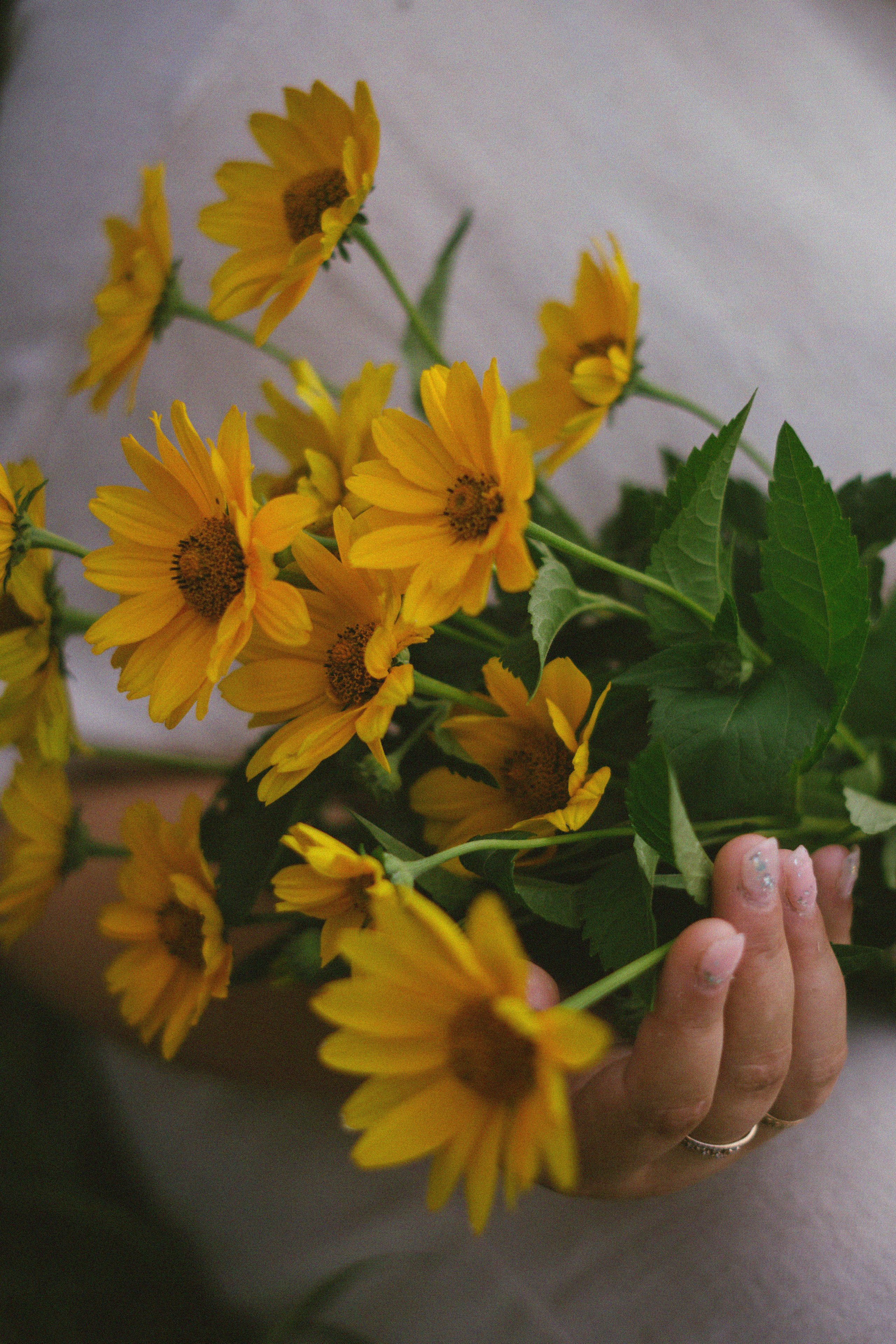 Прогулка с Эвелиной. Фотограф в Липецке и Москве Рыкова Юлия