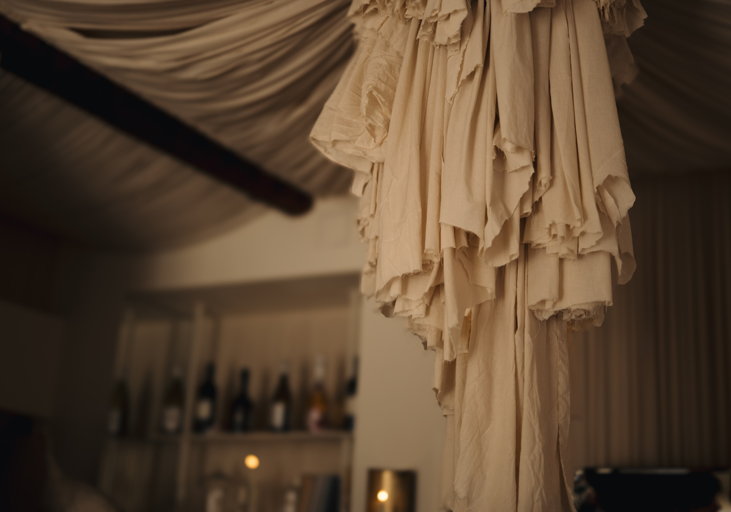 Alex | Bella. Viabel