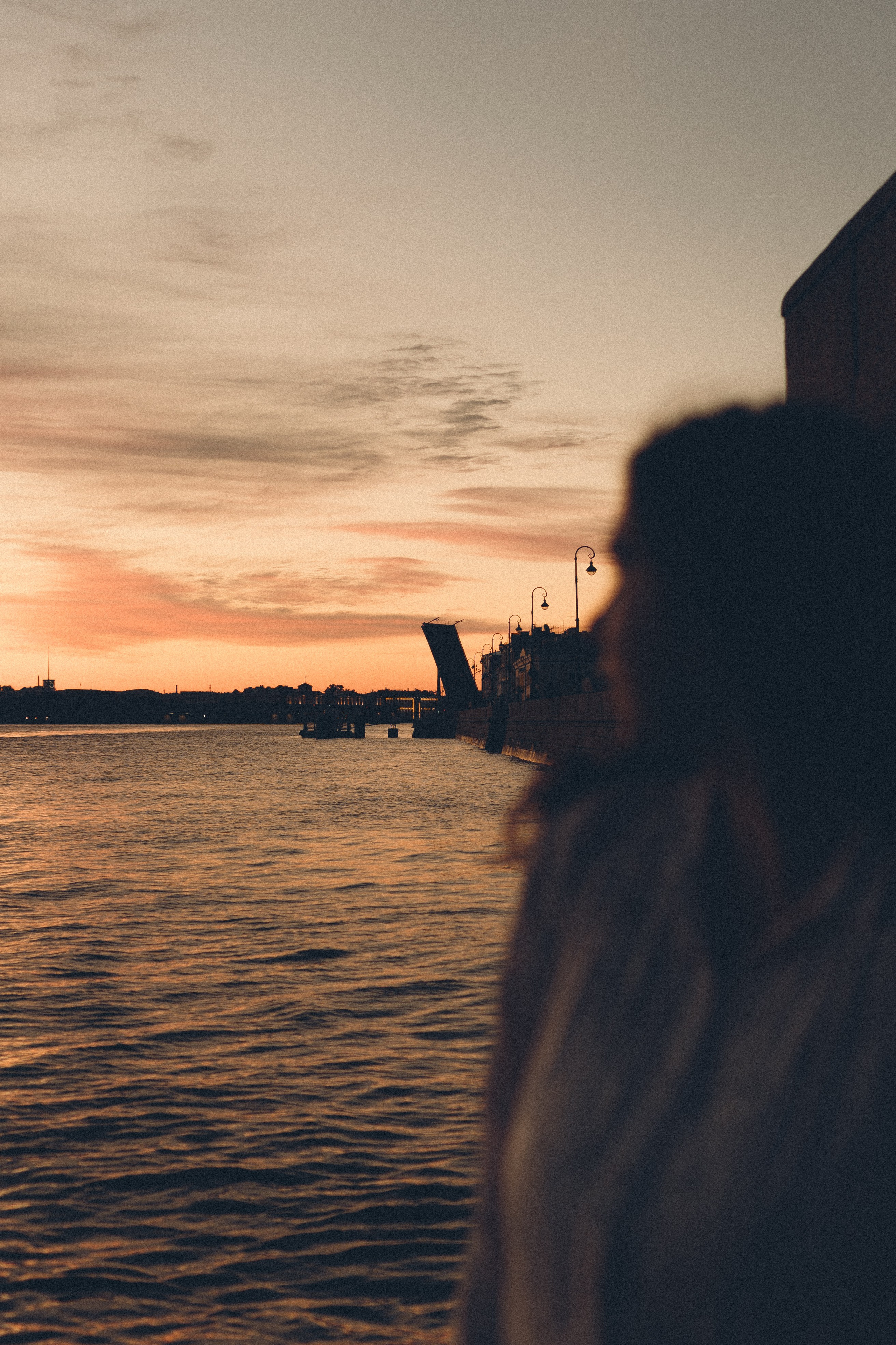 РАССВЕТ С РАЗВОДНЫМИ МОСТАМИ. Профессиональный фотограф, Санкт-Петербург — Виктория Богомолова
