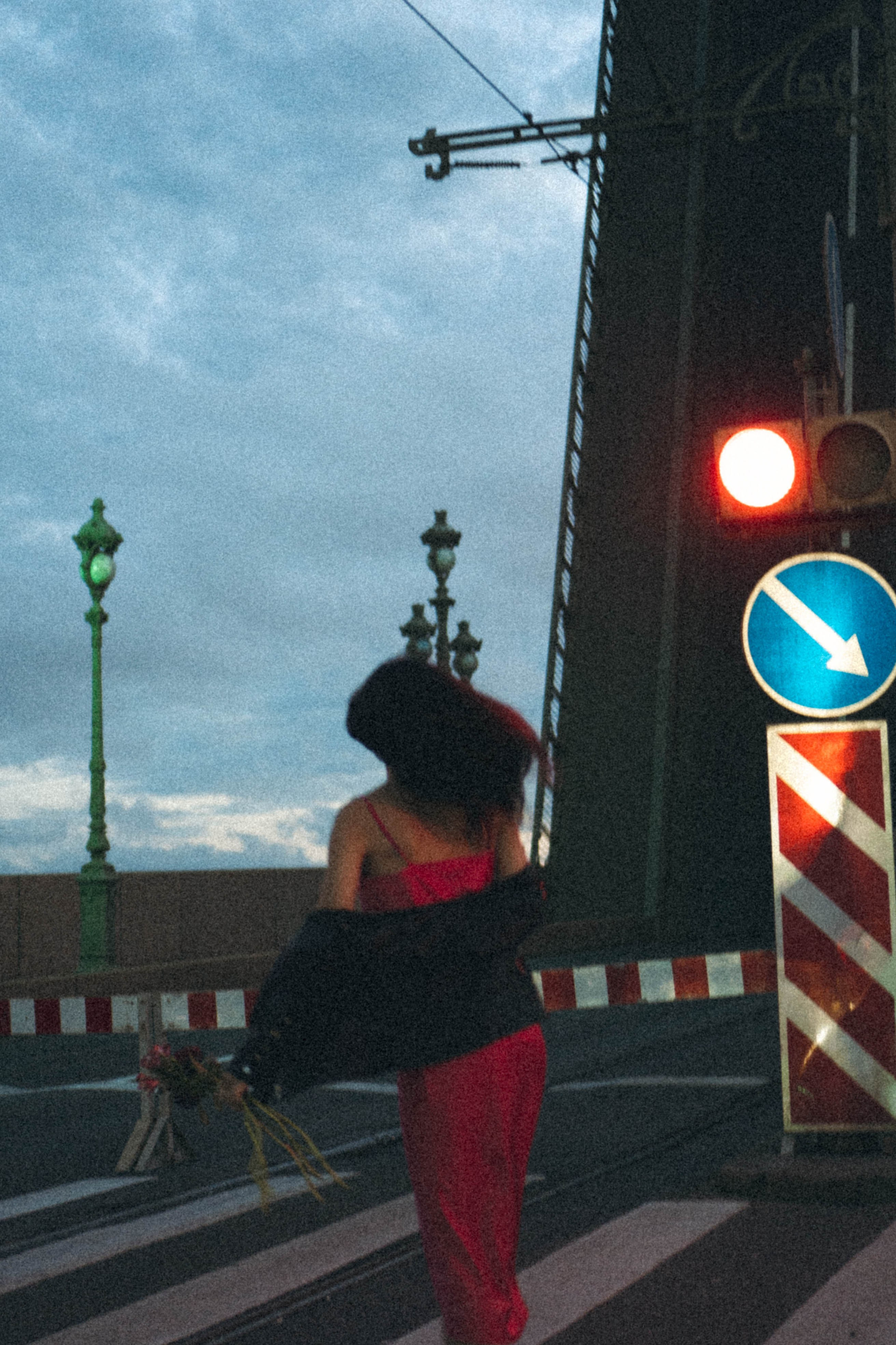 Ночная серия. Профессиональный фотограф, Санкт-Петербург — Виктория Богомолова