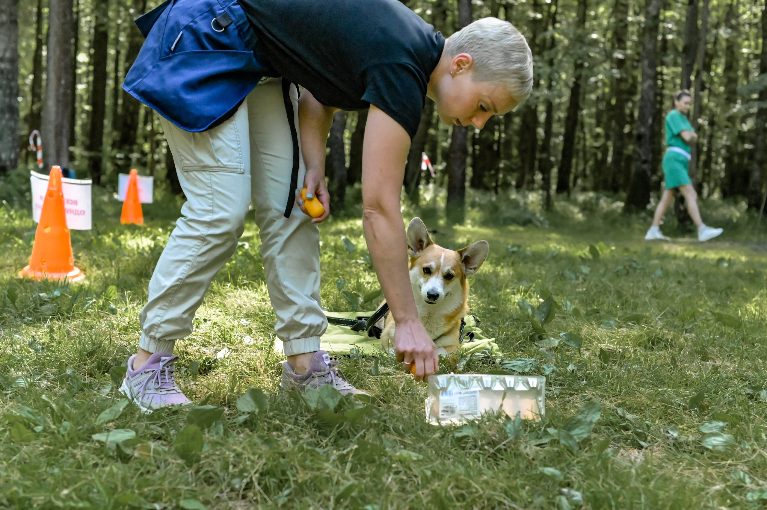 Кинологические соревнования. Семейный и репортажный фотограф в Москве Анастасия Трубкина