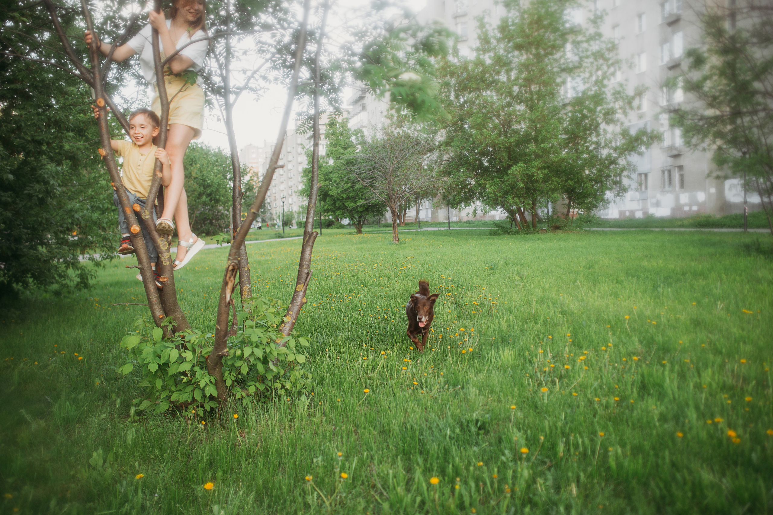 Катя, Юля, Матвей и Макс. Семейный и детский фотограф в Нижнем Новгороде Наумова Лидия