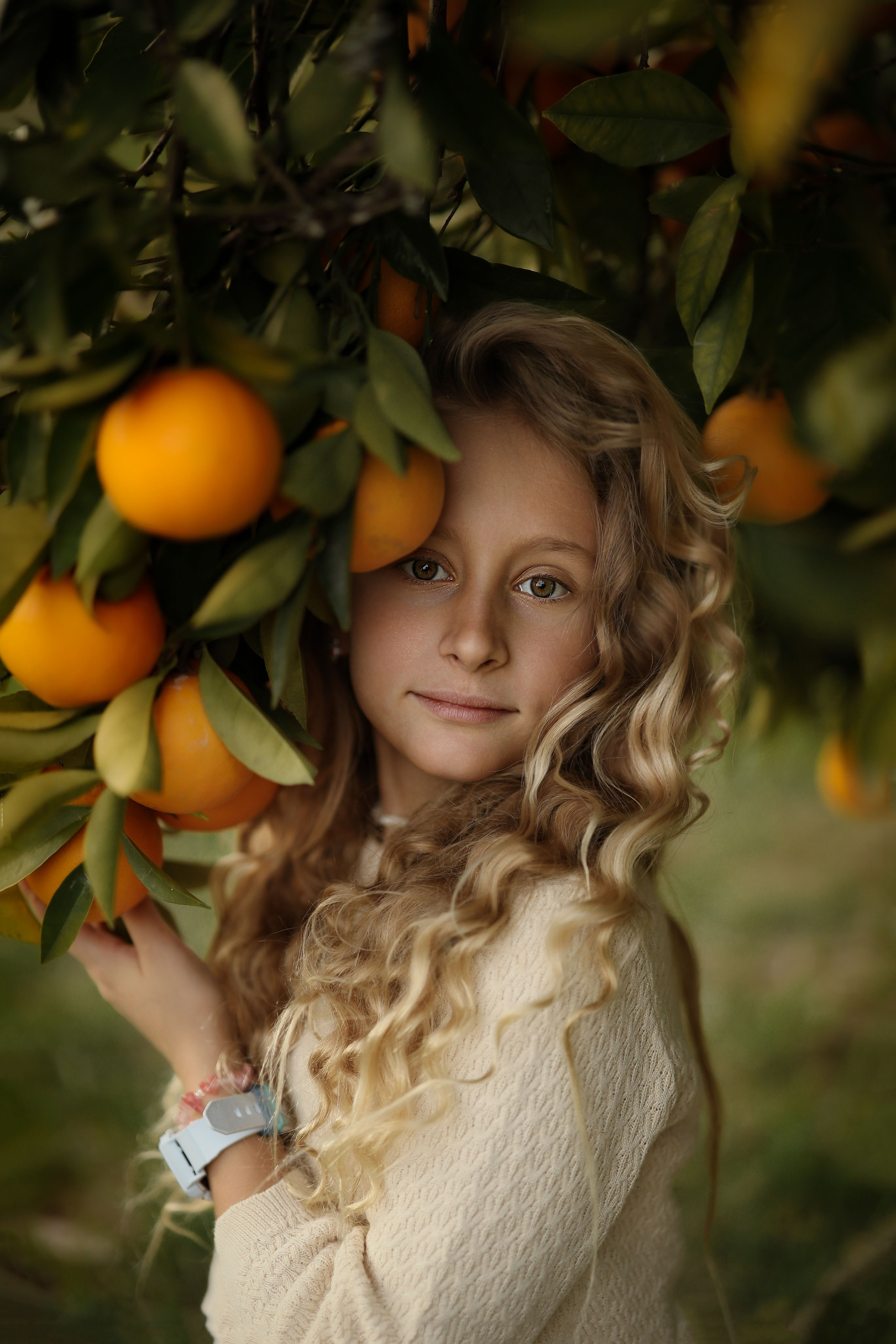 Семейная фотосессия в мандариновом саду Абхазии. Свадебный и семейный фотограф в Абхазии Жанна Соснина