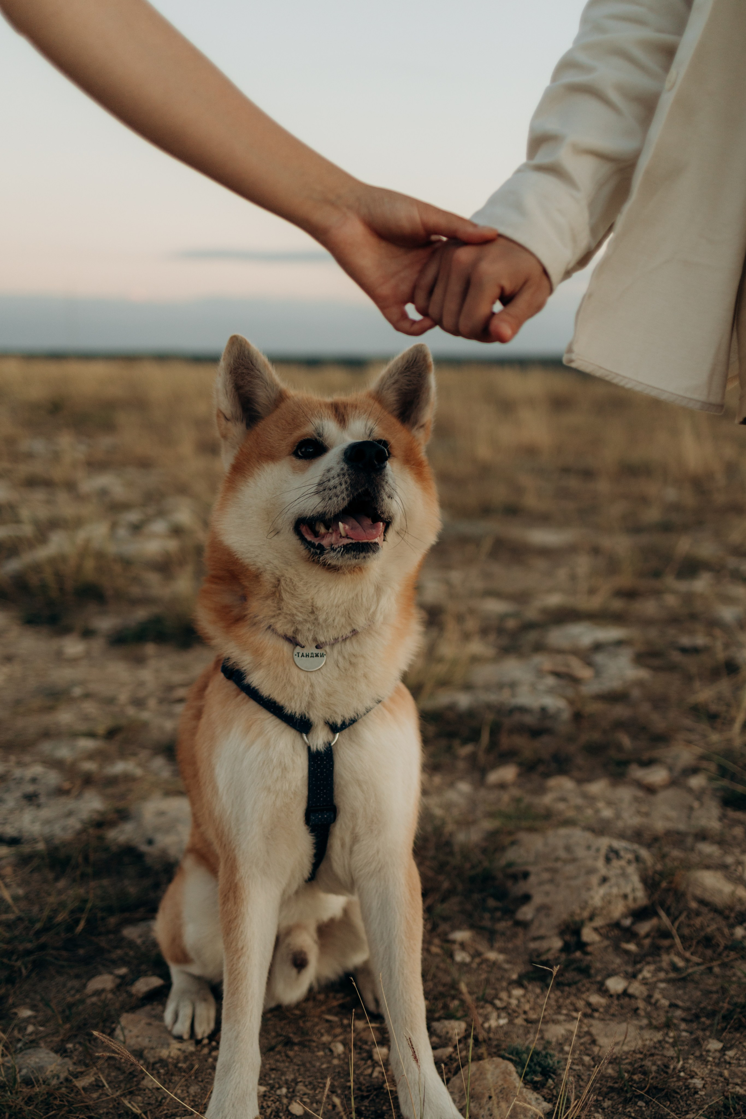 Надя, Илья и Танджи. Майорова Валерия Фотограф Ставрополь