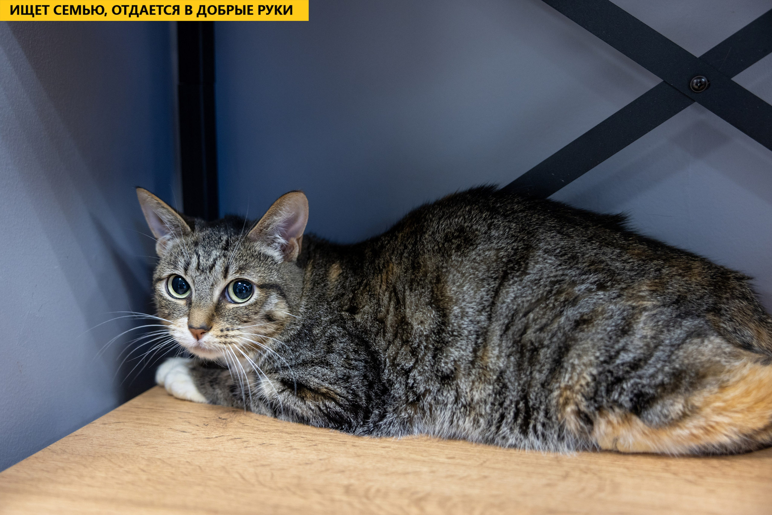 Рекламная съемка в Москве. Геннадий Степанов —фотограф в Москве