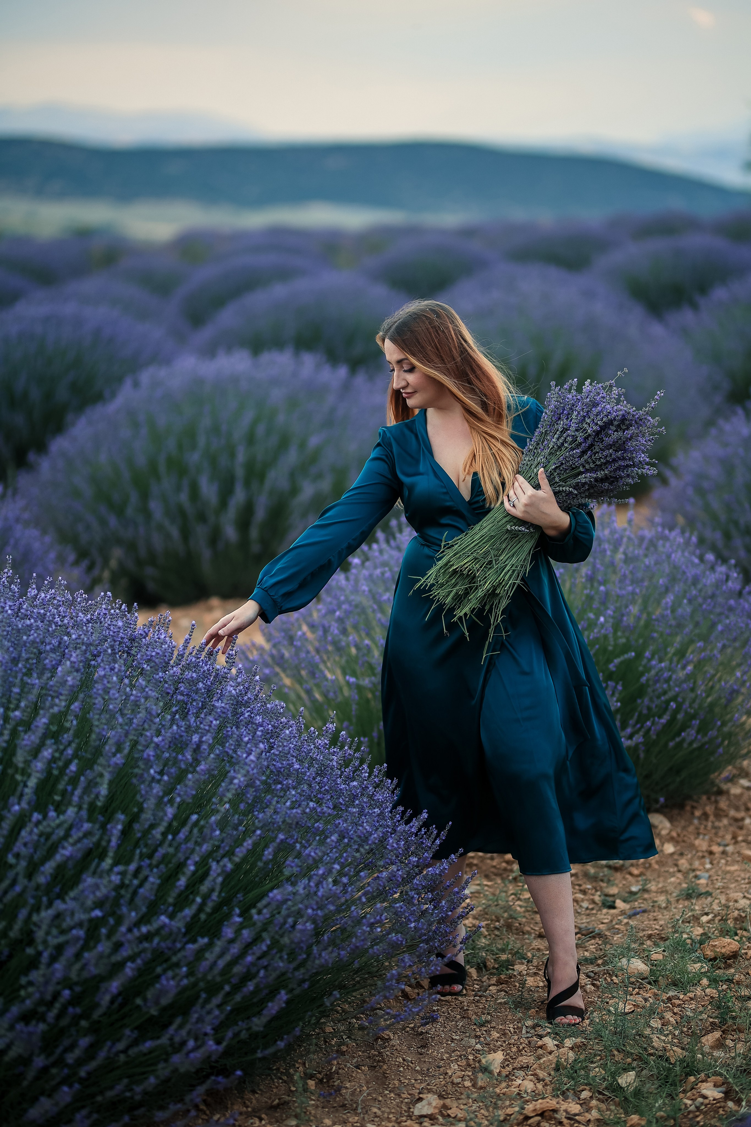 Lavender fields in Turkey