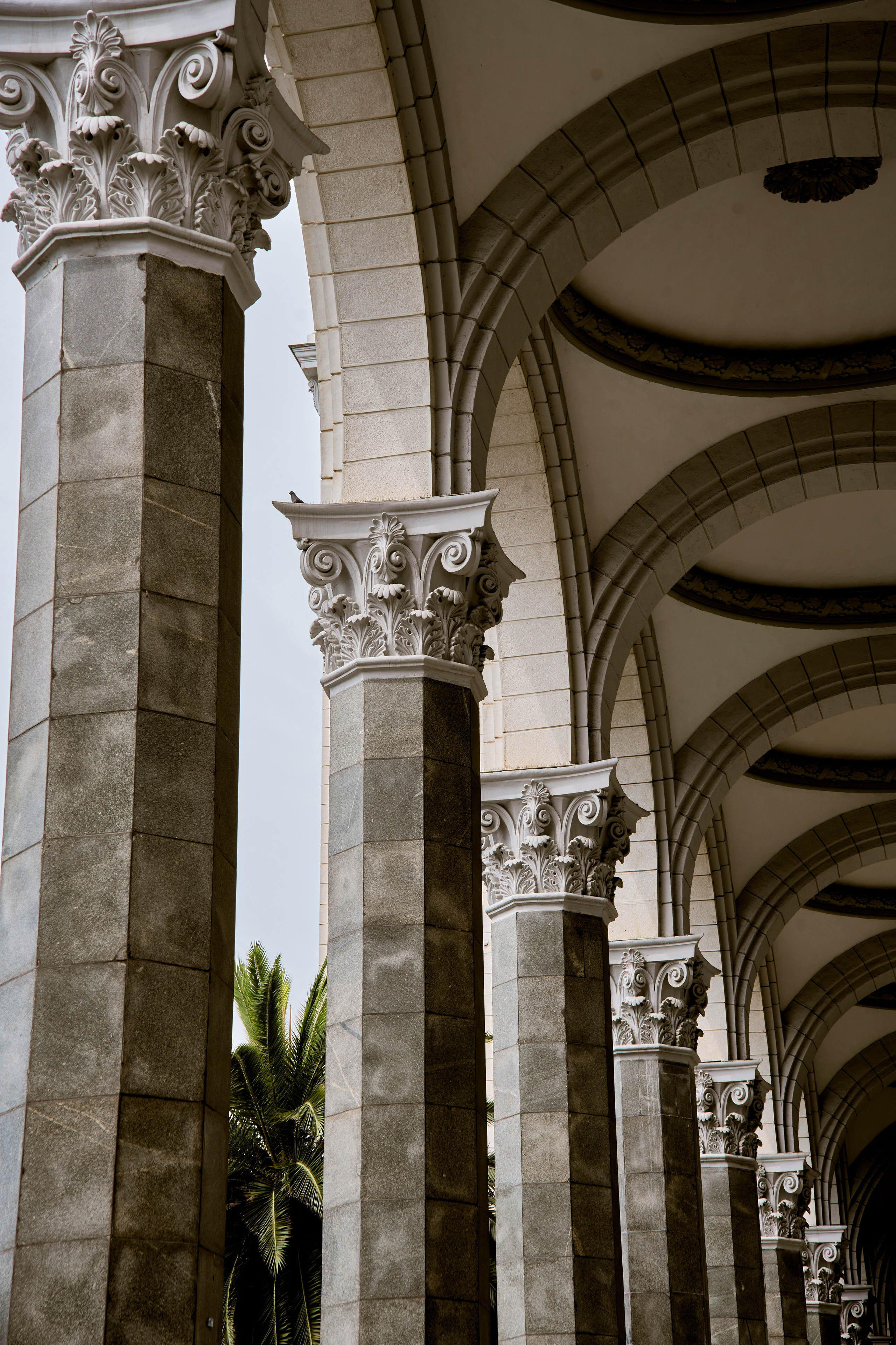 СОЧИ. Студийный фотограф в Екатеринбурге Бшари Заана