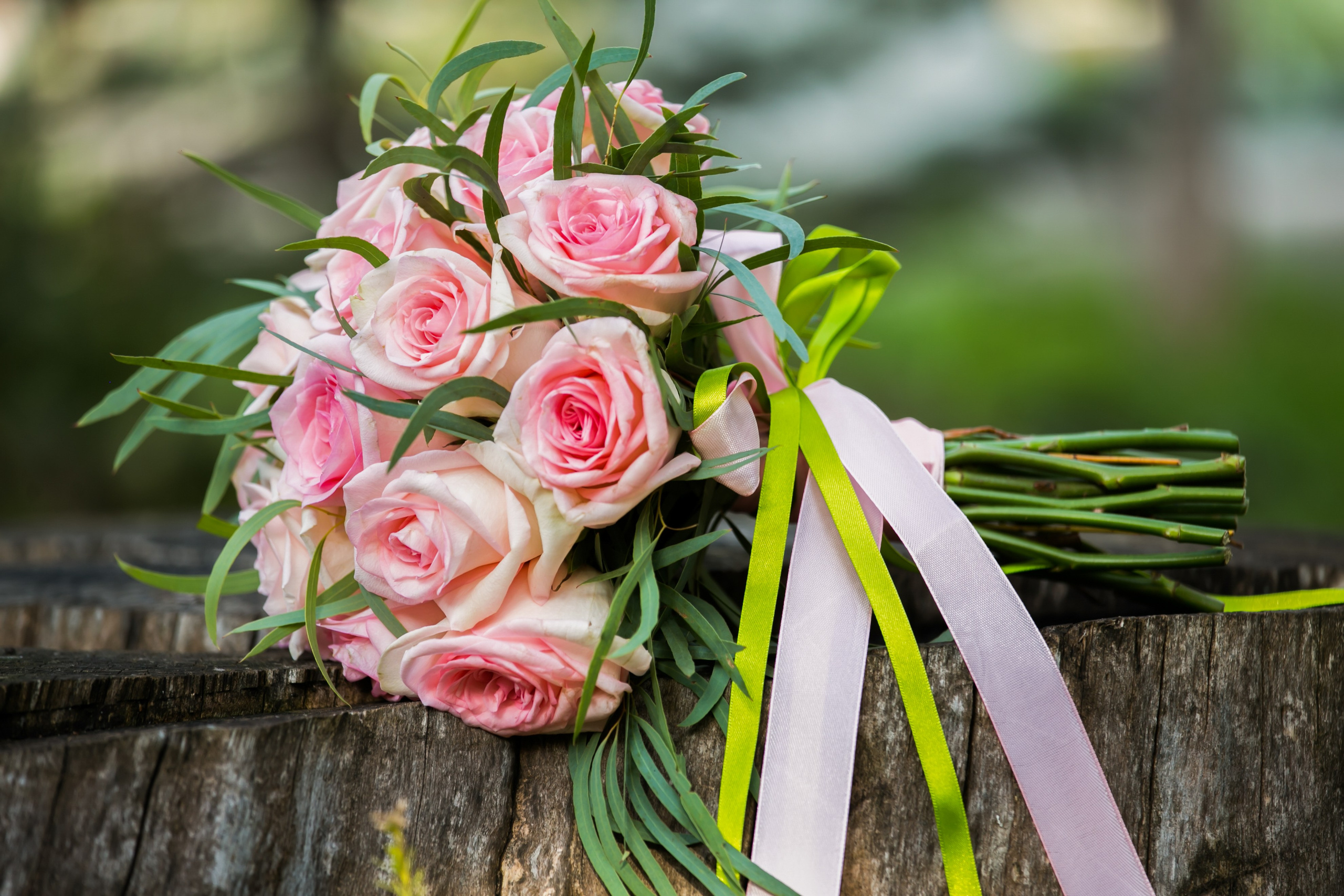 Свадьба Екатерина и Вадим. Свадебный фотограф, видеограф в Самаре, Самарской области. Видеосъемка