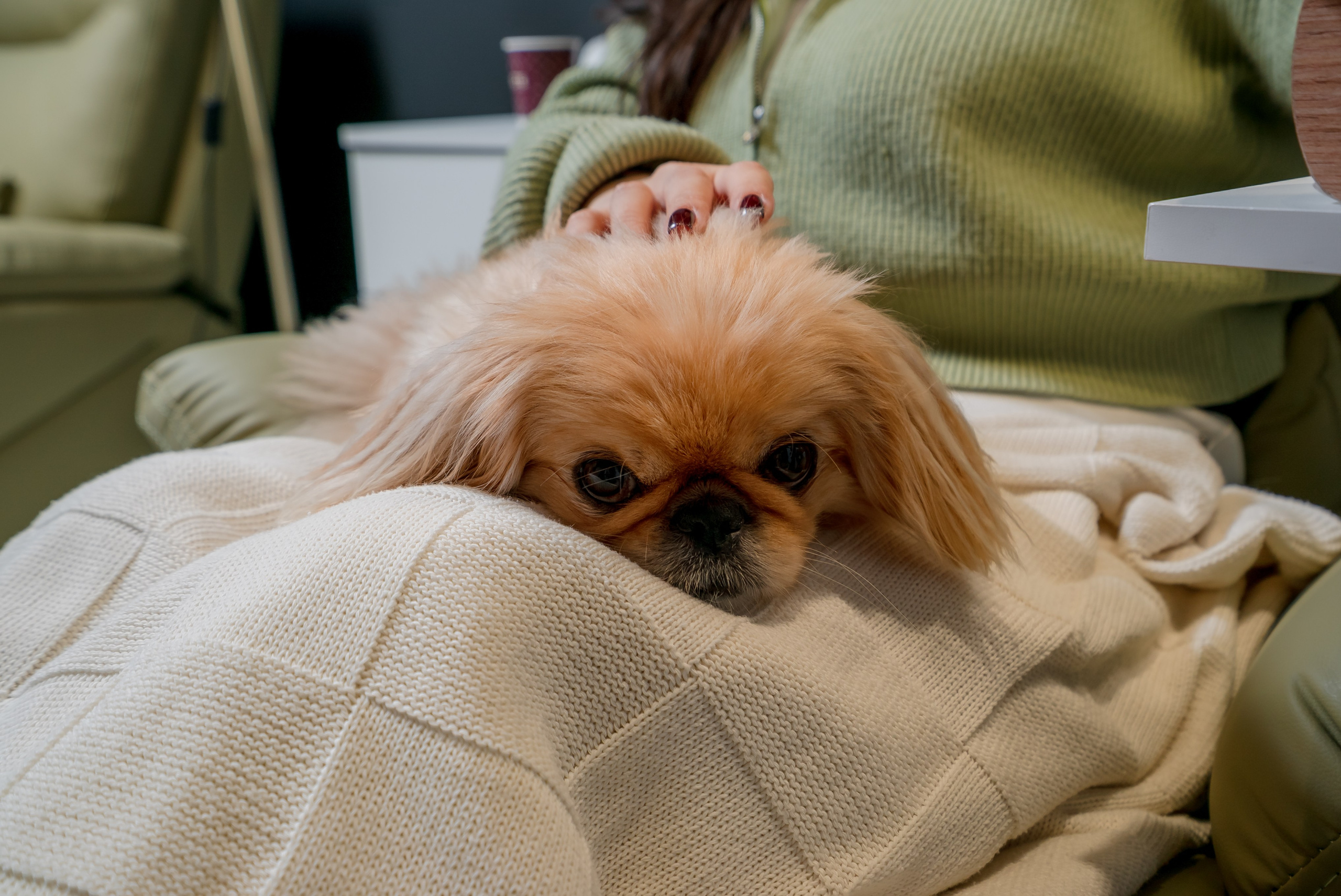 Контент. Andrey Luzin | [yooroock] photographer