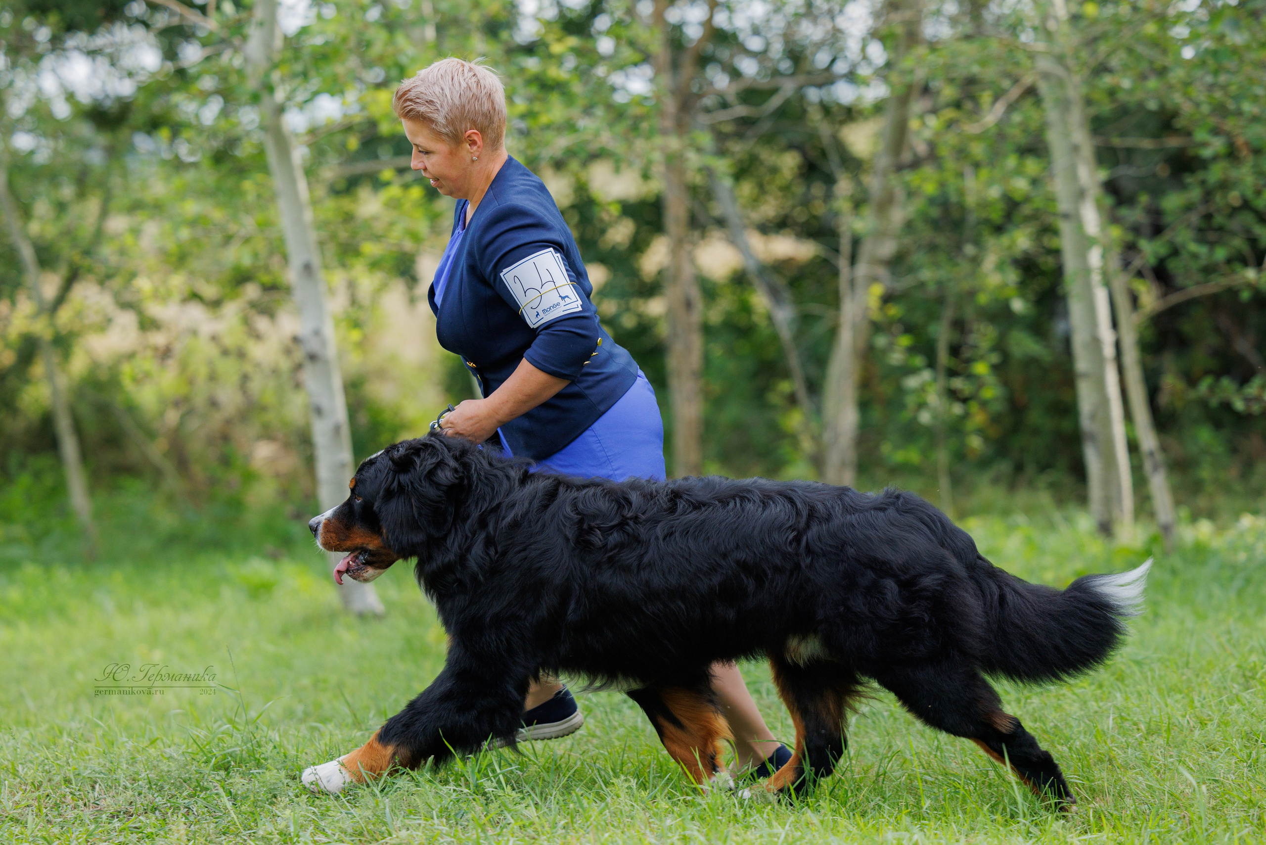 Астана 2хCACIB 17-18.08.2024. Фотограф-анималист Юлия Германика