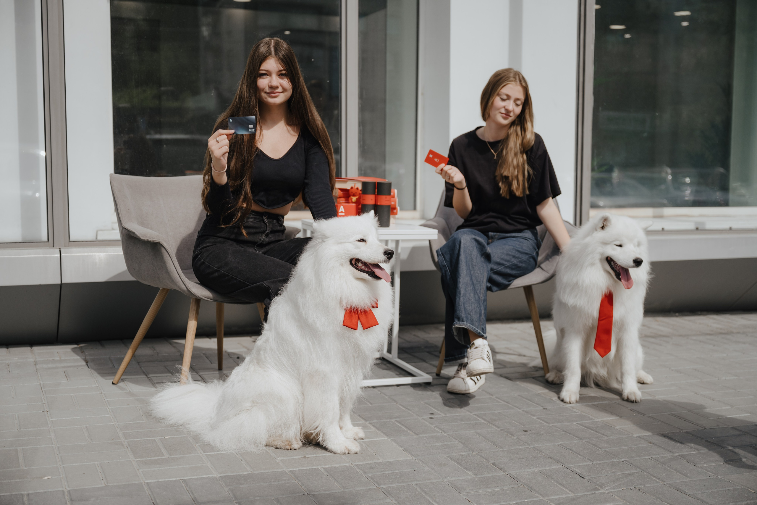 Альфа банк Карла Маркса 55. Фотограф Кристина Тумаева. Самоед Новосибирск