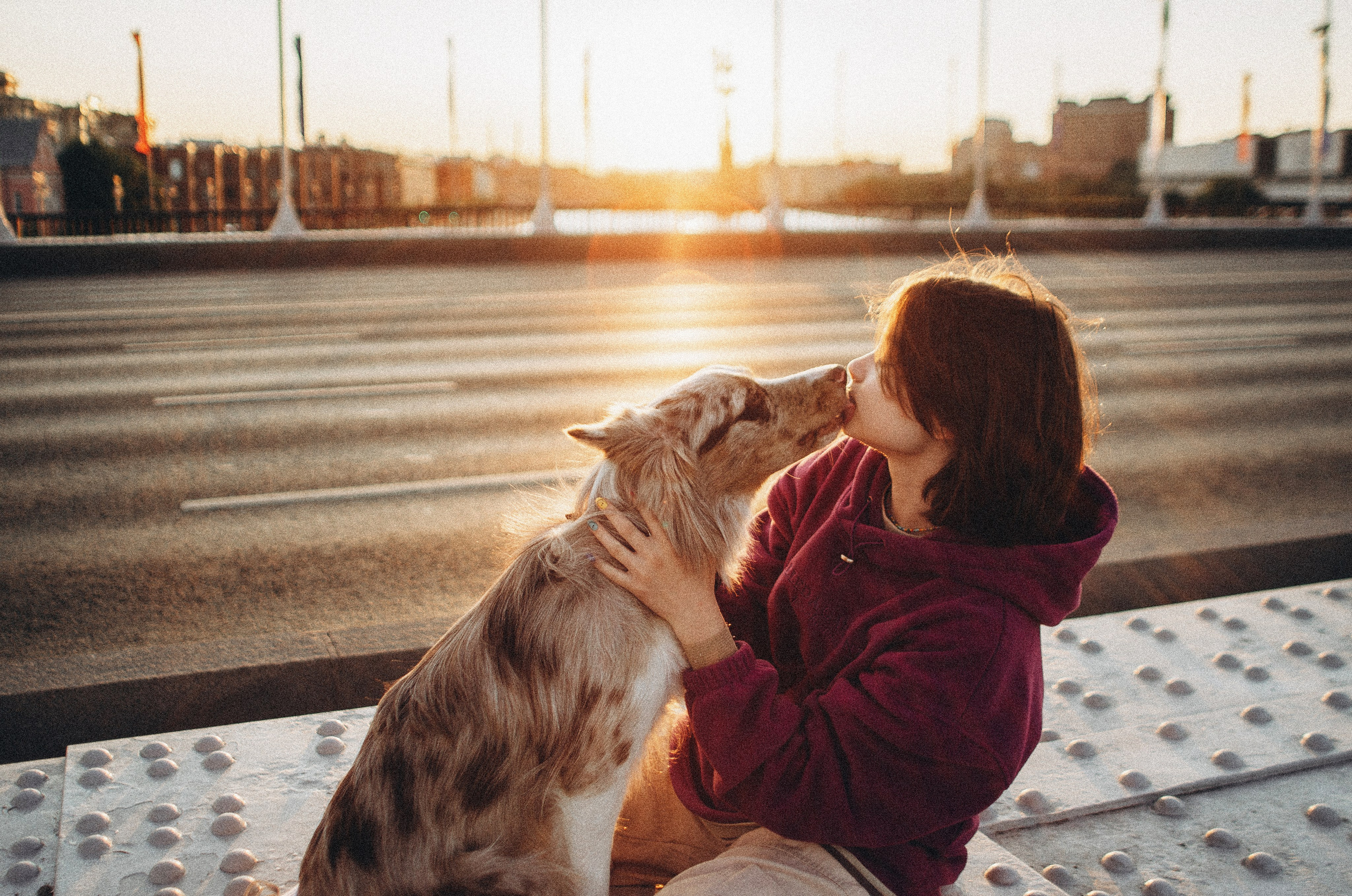 Аня и Дэймон. Фотограф-анималист Богданова Полина