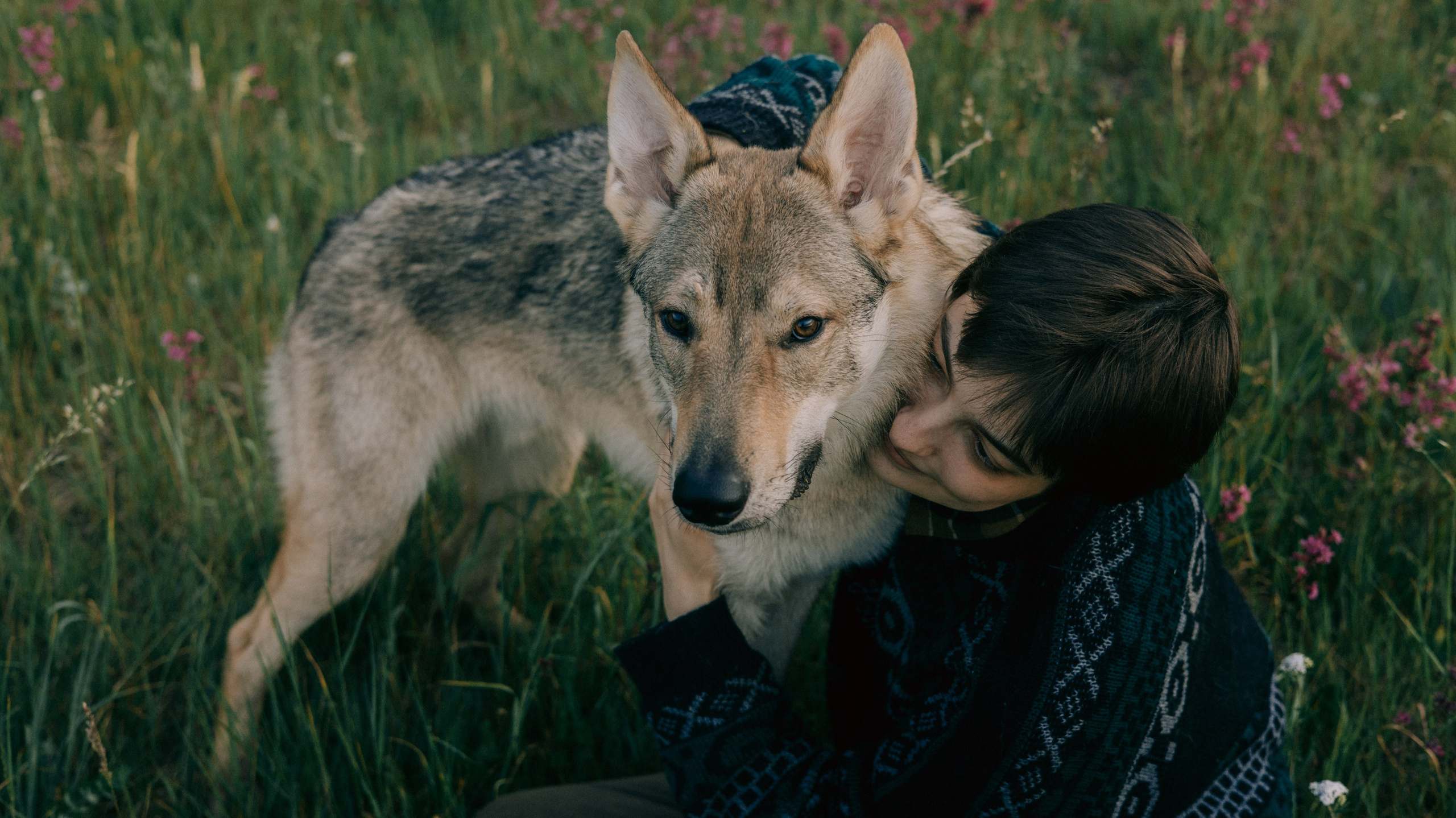 Маша и Дэрил. Фотограф-анималист Богданова Полина