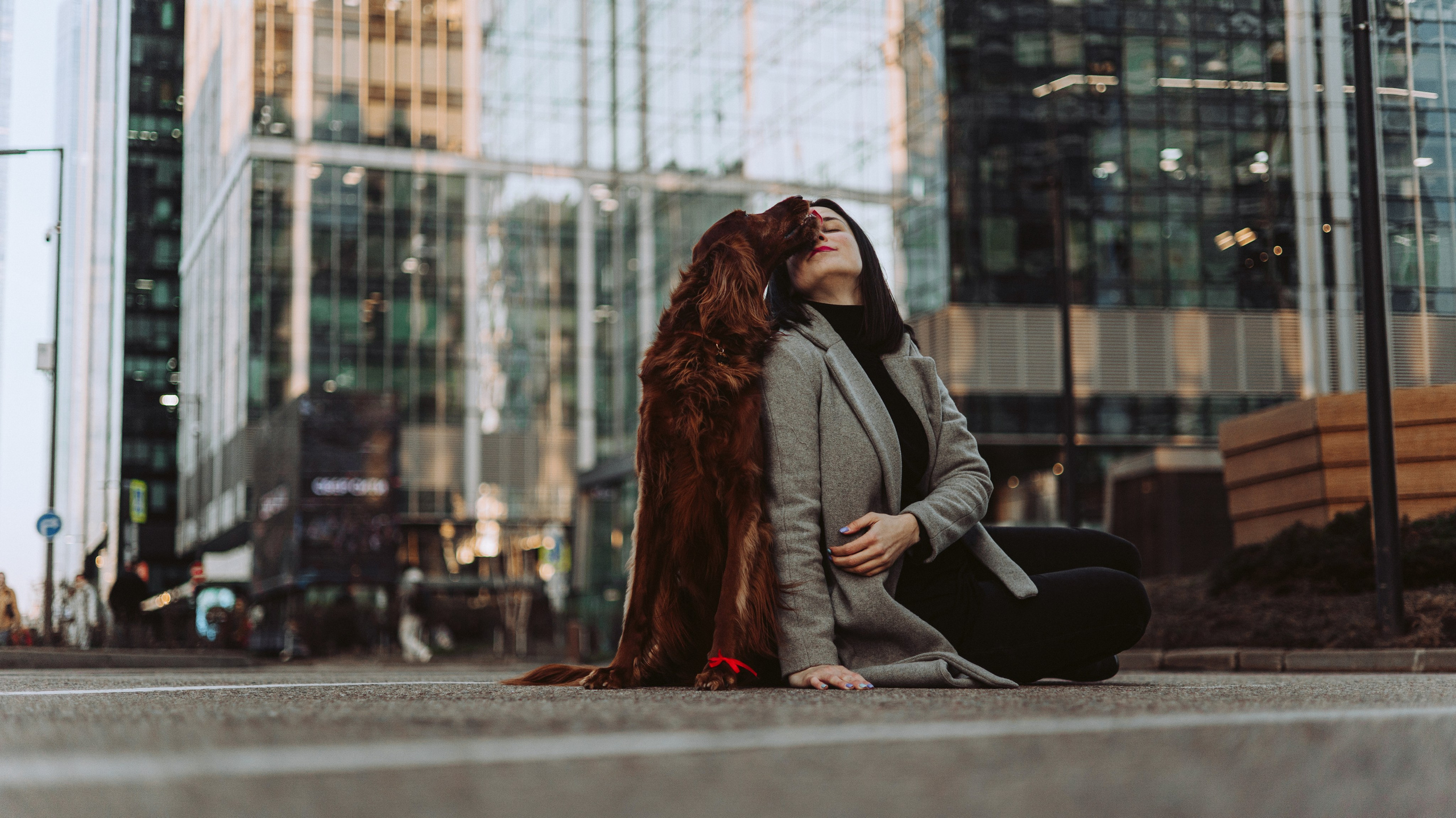 Маша и Лика. Фотограф-анималист Богданова Полина