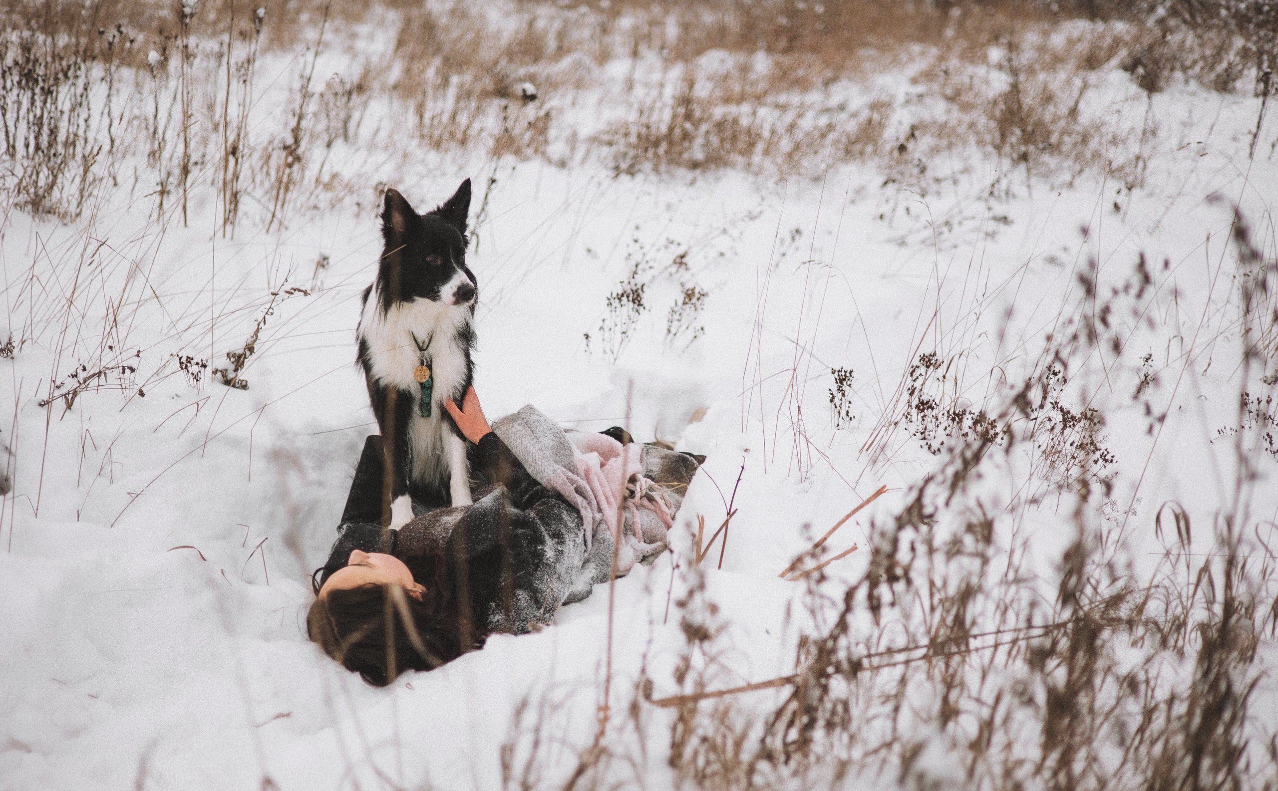 Алина и Найт. Фотограф-анималист Богданова Полина