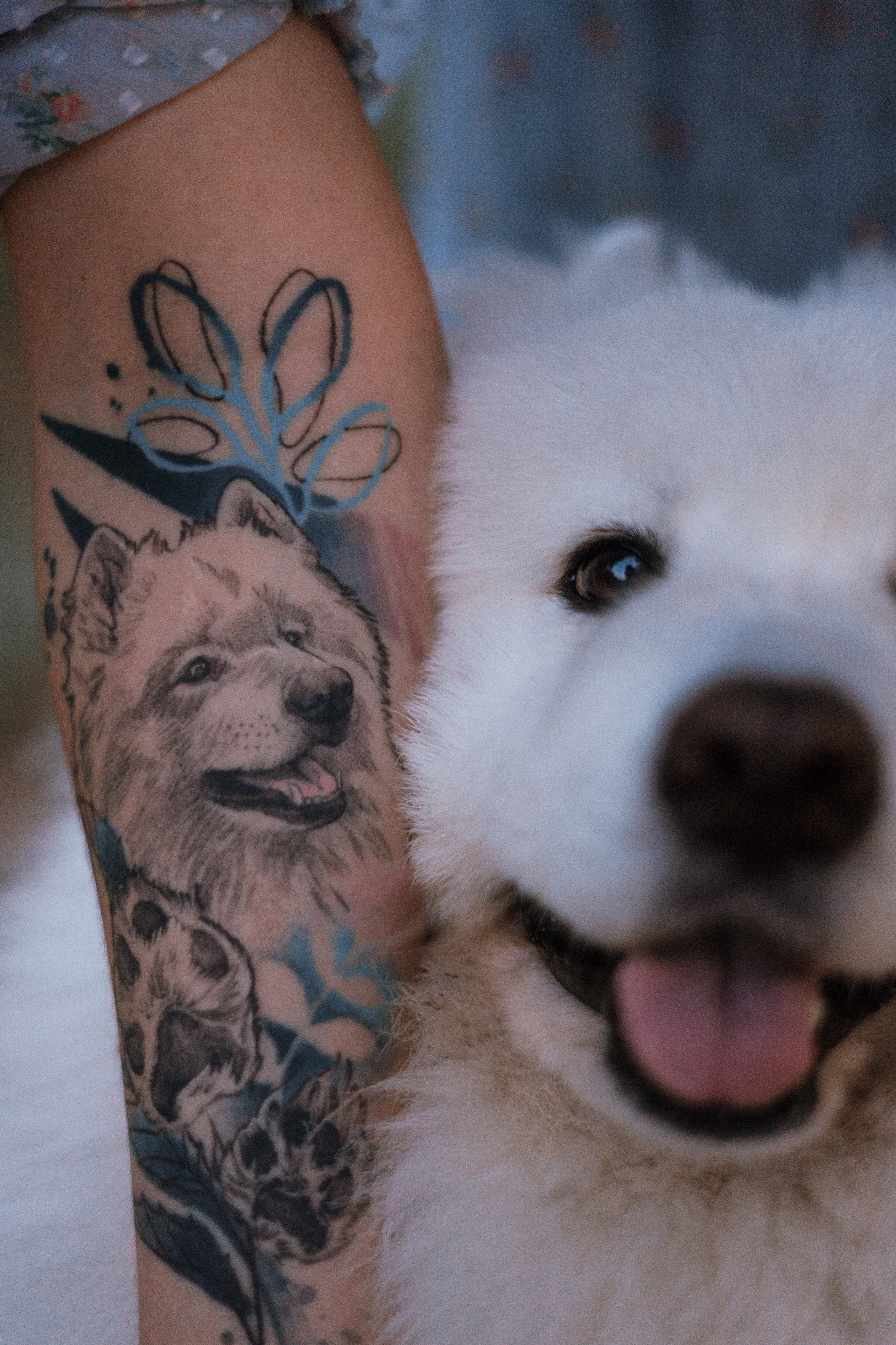 Валерия, Илья, Вита и Умка. Фотограф-анималист Богданова Полина