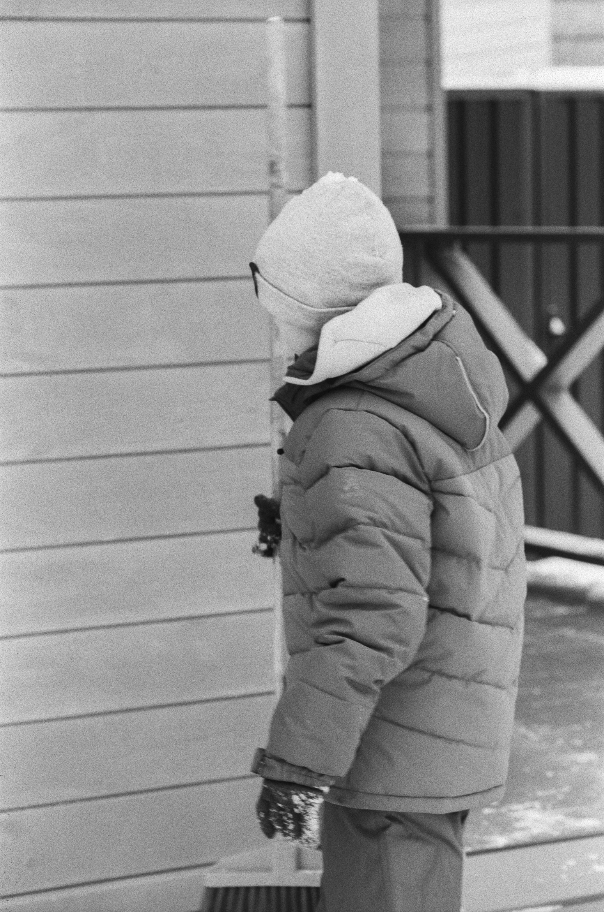 Contax N1 / Carl Zeiss Makro Sonnar 100 mm f/2.8 / Давыдовское