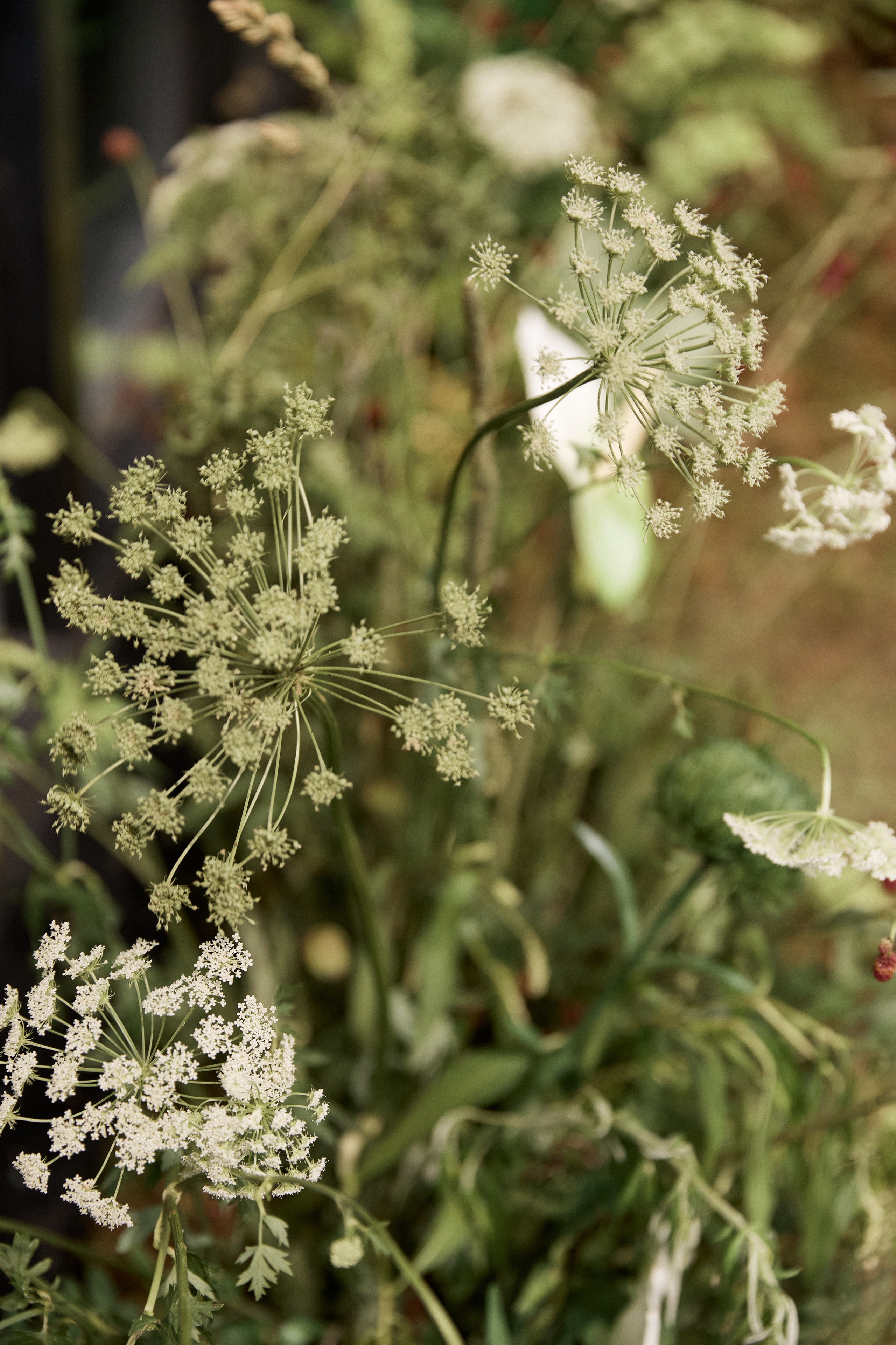 Посмотреть серию. Свадебный и семейный фотограф в Красноярске Тряпчев Павел
