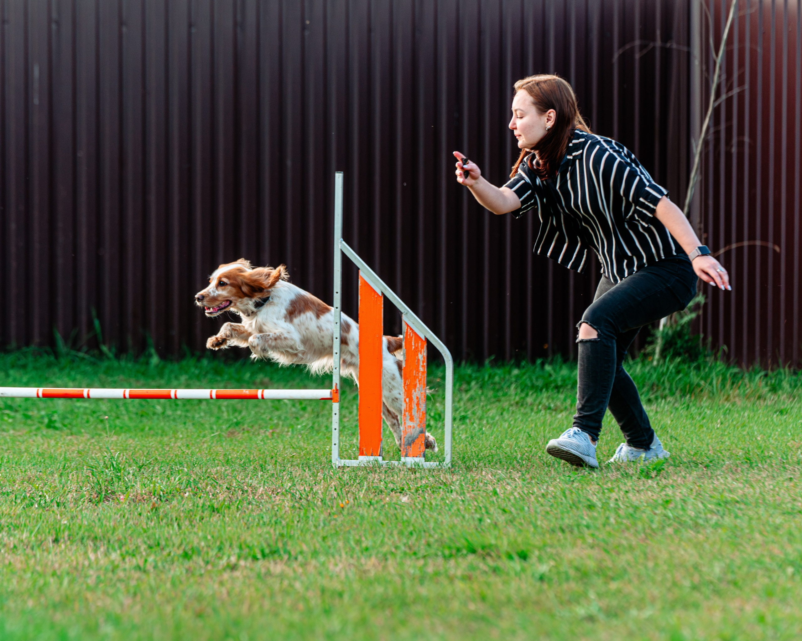 Ваш путь к ПОБЕДЕ (ТРЕНИРОВКИ). Фотограф-анималист, семейный фотограф в Москве и Подмосковье. Фотосъёмка кинологических дисциплин