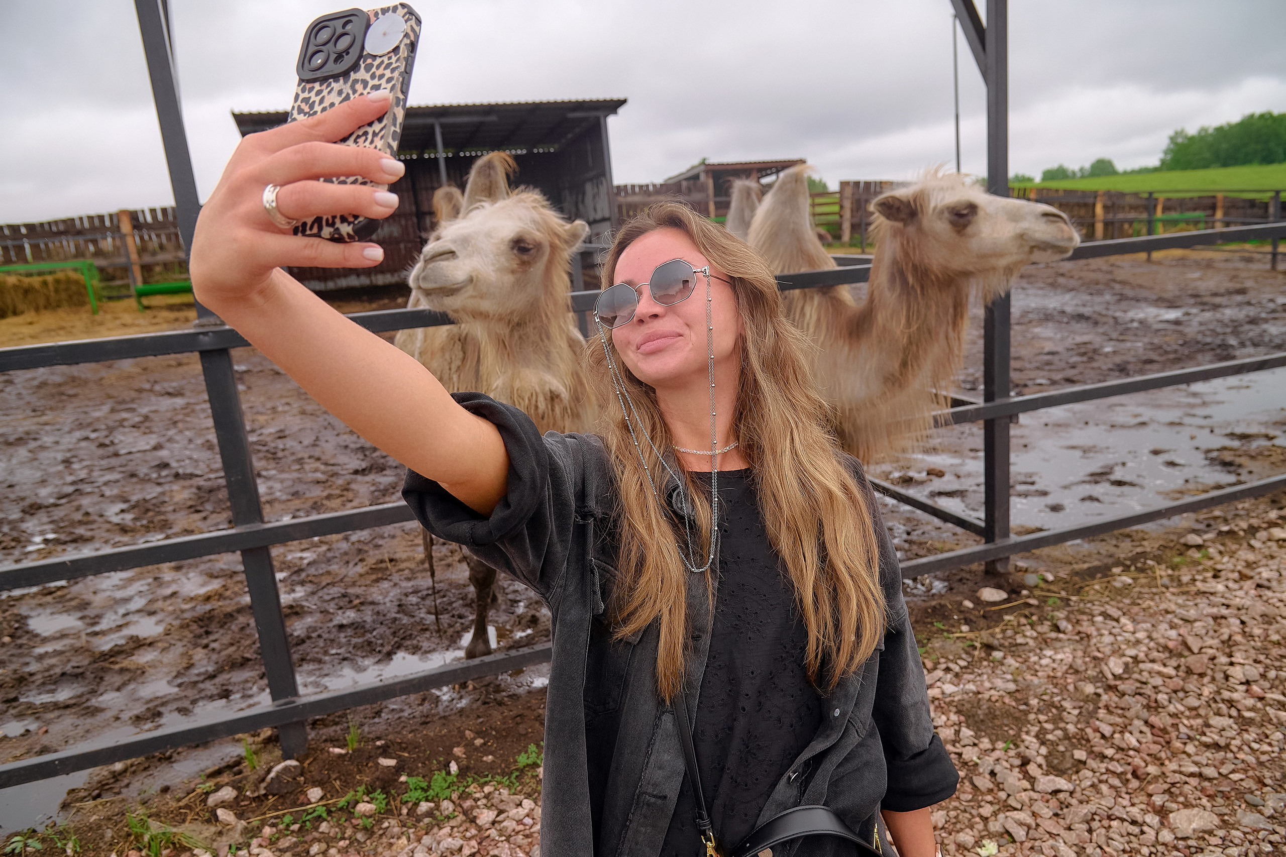 Ранчо «Шарье». Сеть магазинов «Калина-Малина». Фотограф Яковлев Роман — Красноярск