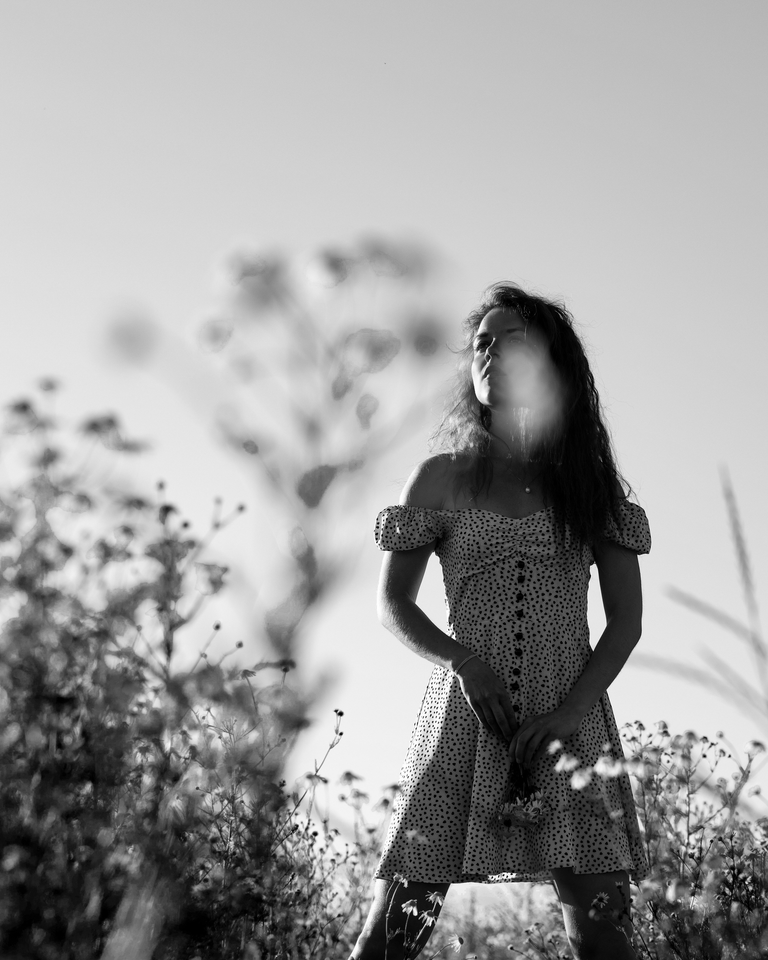 ЧБ ромашки. Портретный фотограф Екатерина Лысенко, Москва