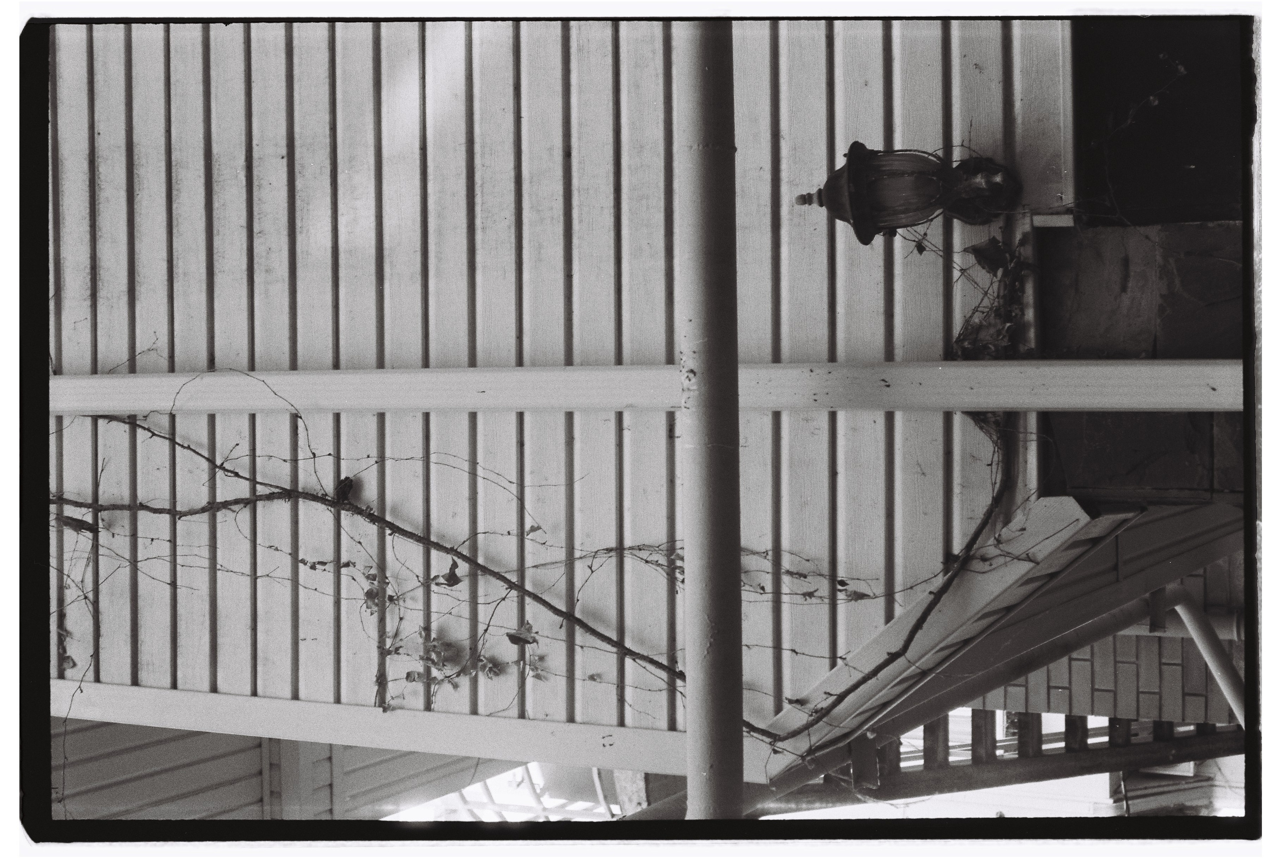 Пленочная фотография. ТАТИ | Татьяна Тихонова | фотограф | Тольятти Самара