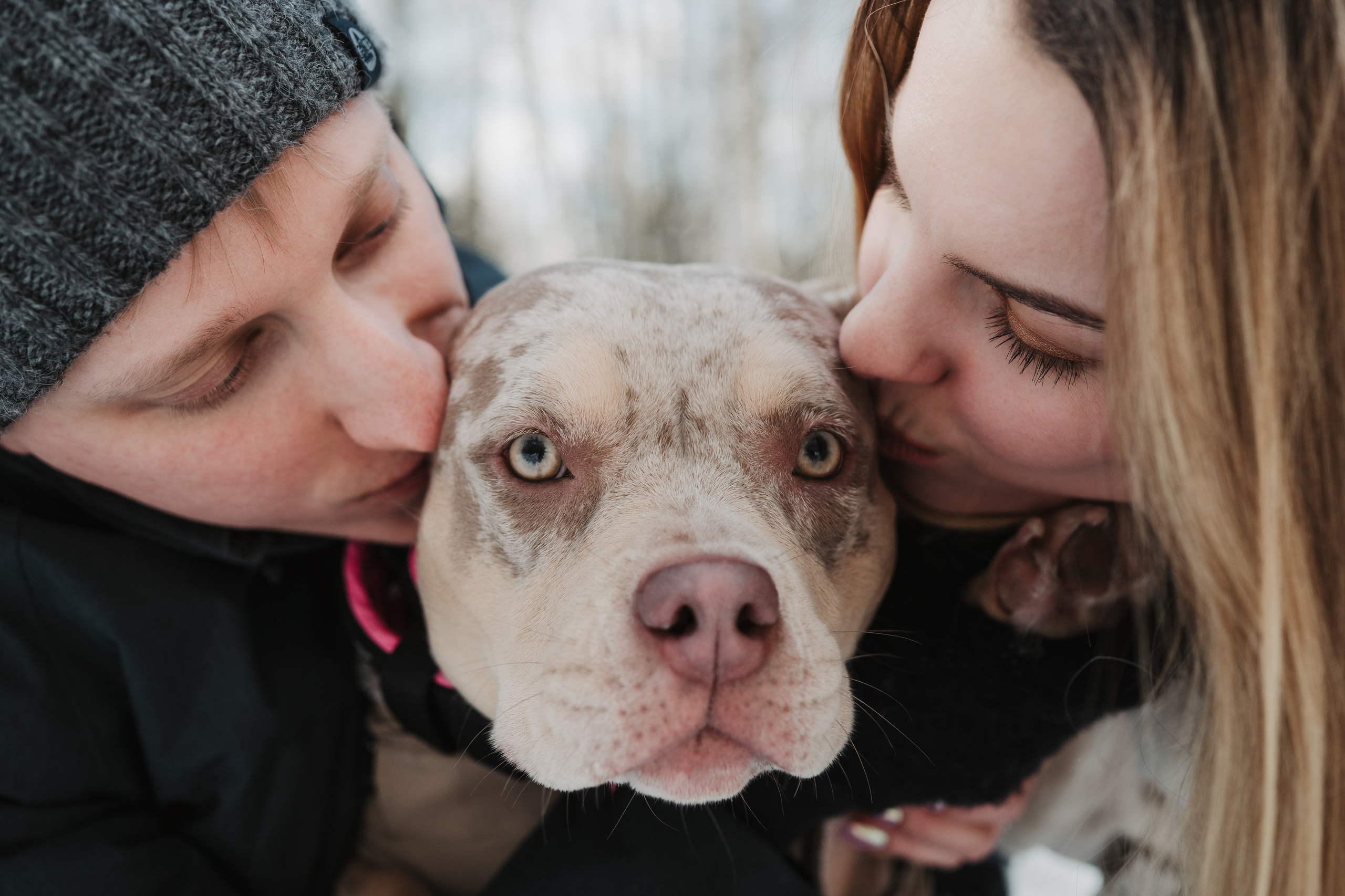 Зимняя LOVE STORY Вики, Артёма и Булочки. Семейный Фотограф в Москве Ирина Хохлова