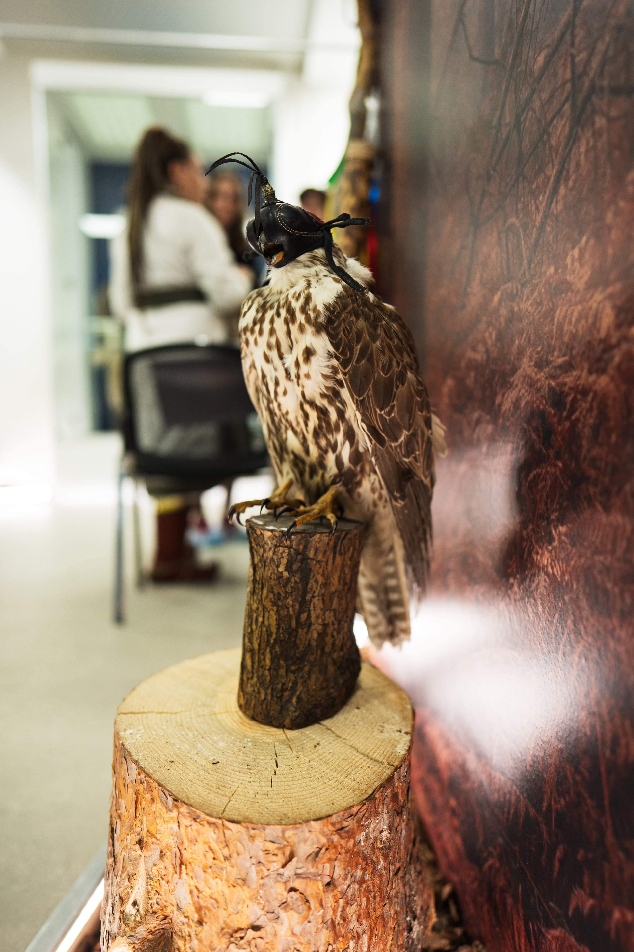 Ночь музеев 2024. Фотограф на любое событие в Кемерово