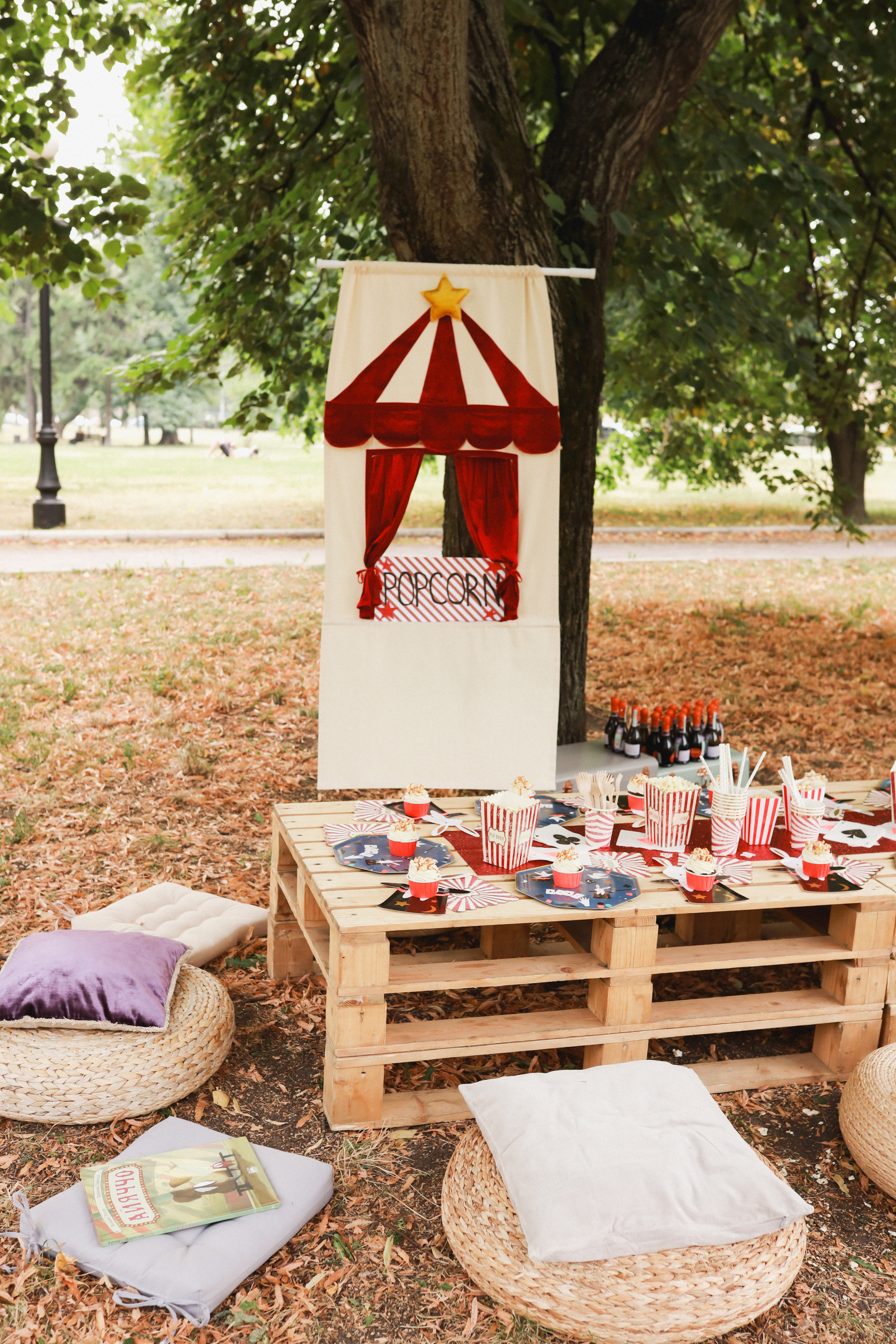 Праздник в стиле старинный цирк. Детский и семейный фотограф Москва Виктория Самоховец