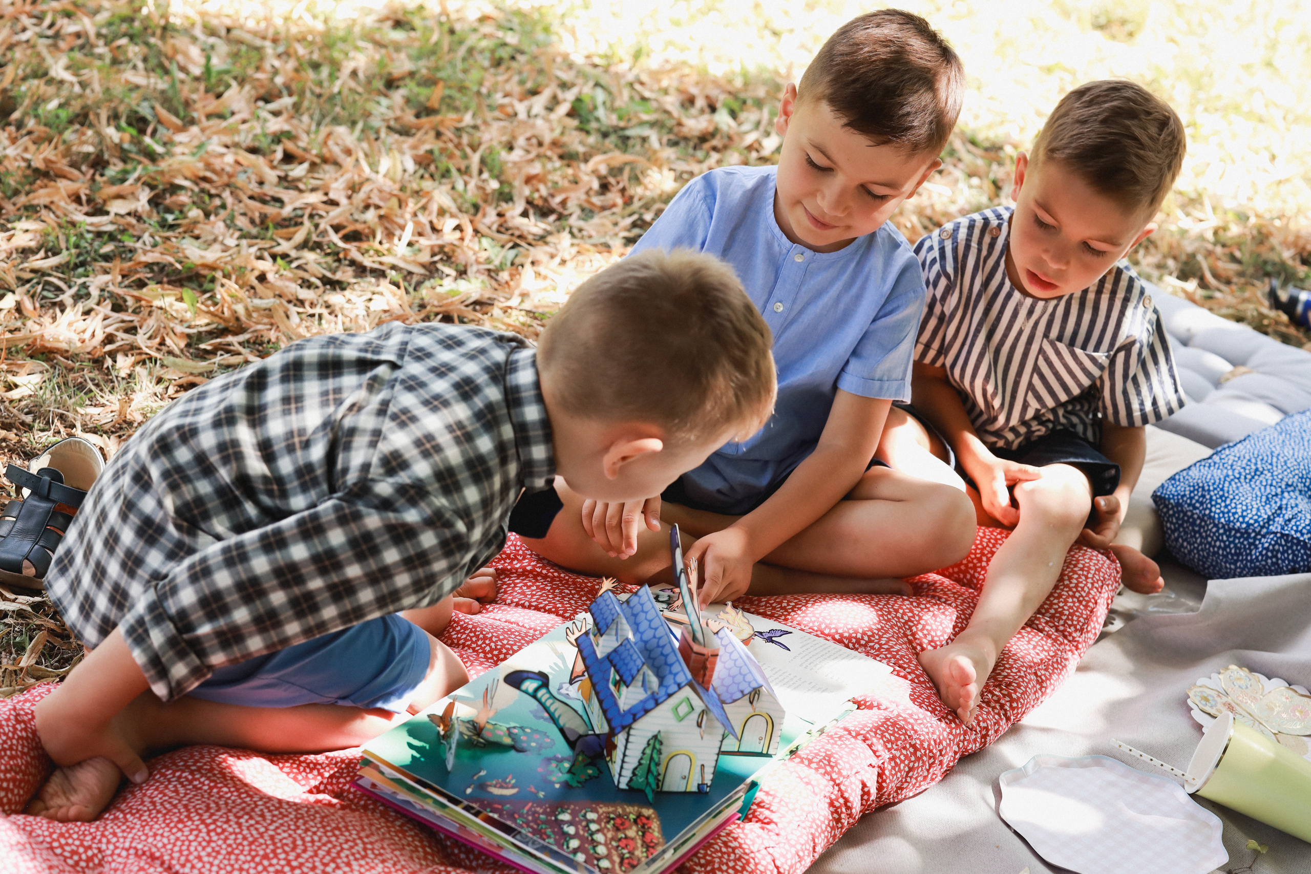 Летний пикник Алиса в стране чудес. Детский и семейный фотограф Москва Виктория Самоховец