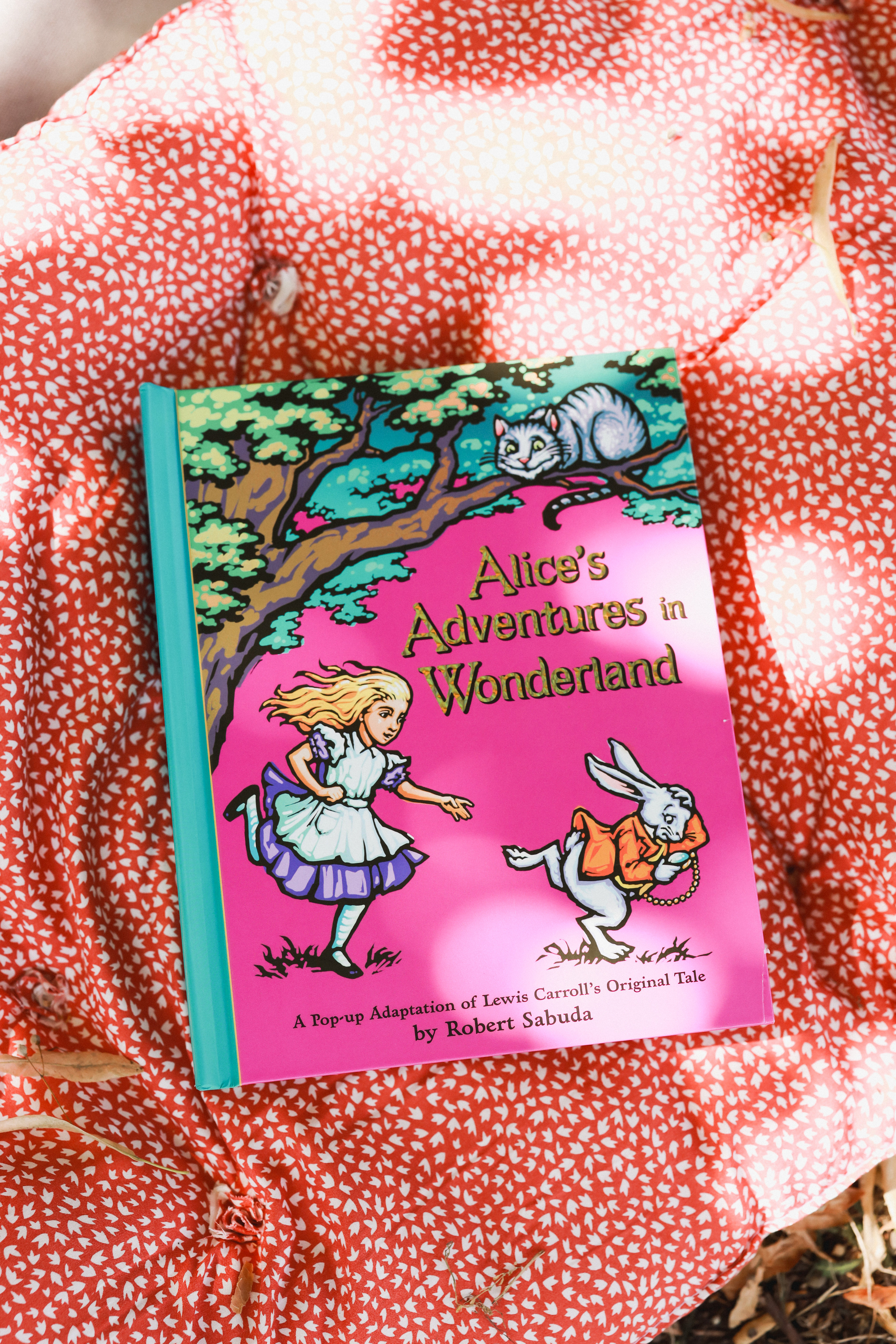 Летний пикник Алиса в стране чудес. Детский и семейный фотограф Москва Виктория Самоховец