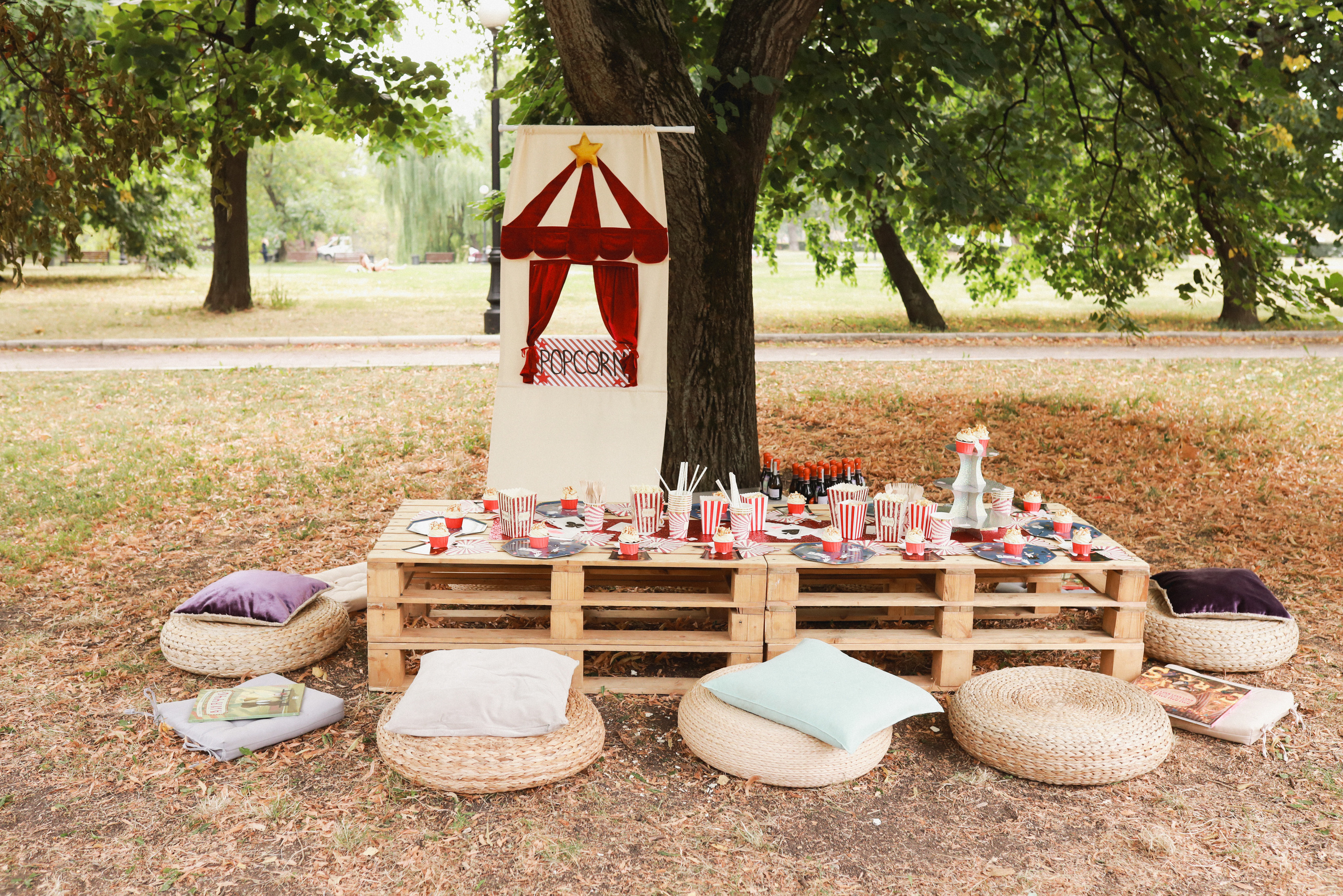 Праздник в стиле старинный цирк. Детский и семейный фотограф Москва Виктория Самоховец