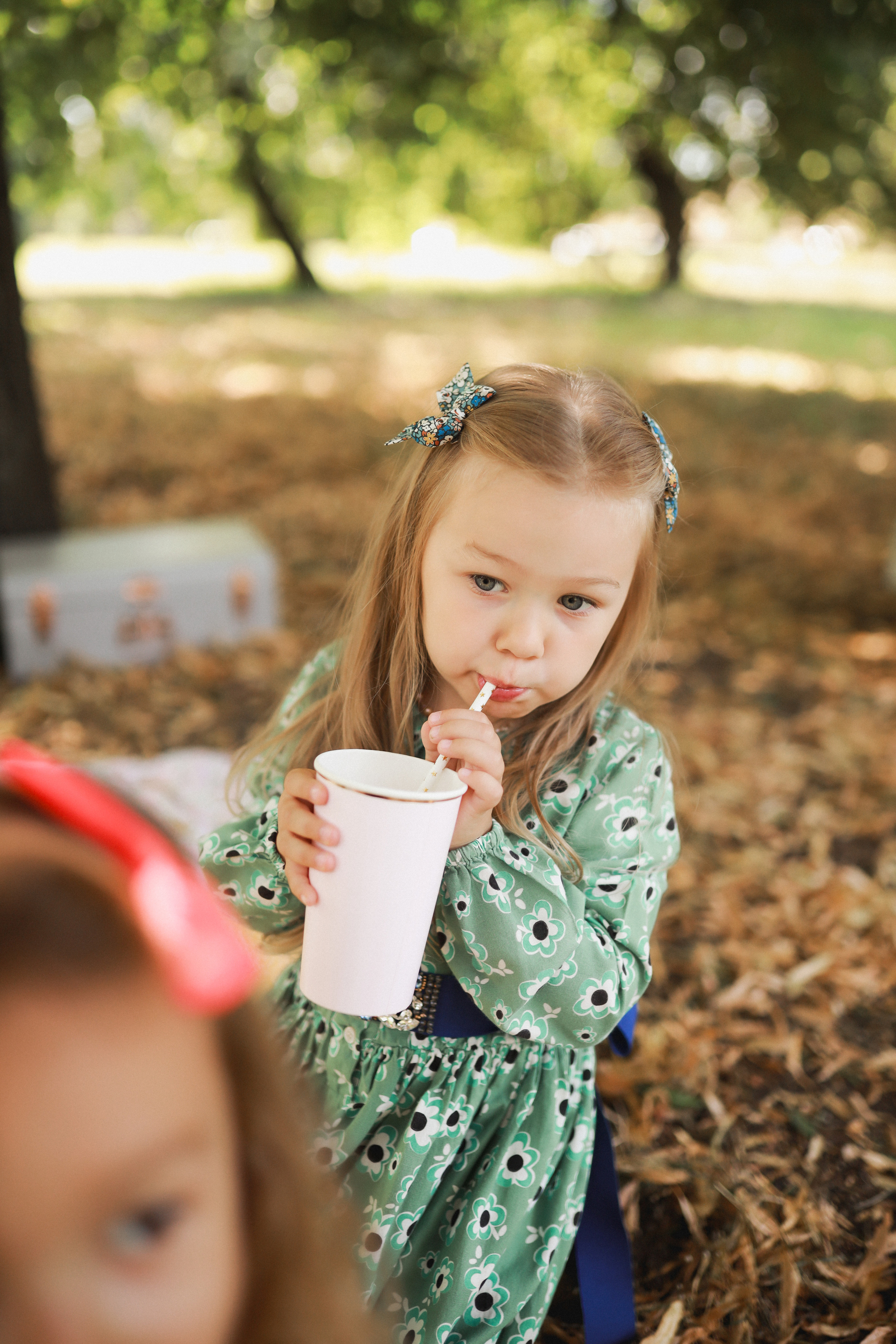 Летний пикник Алиса в стране чудес. Детский и семейный фотограф Москва Виктория Самоховец