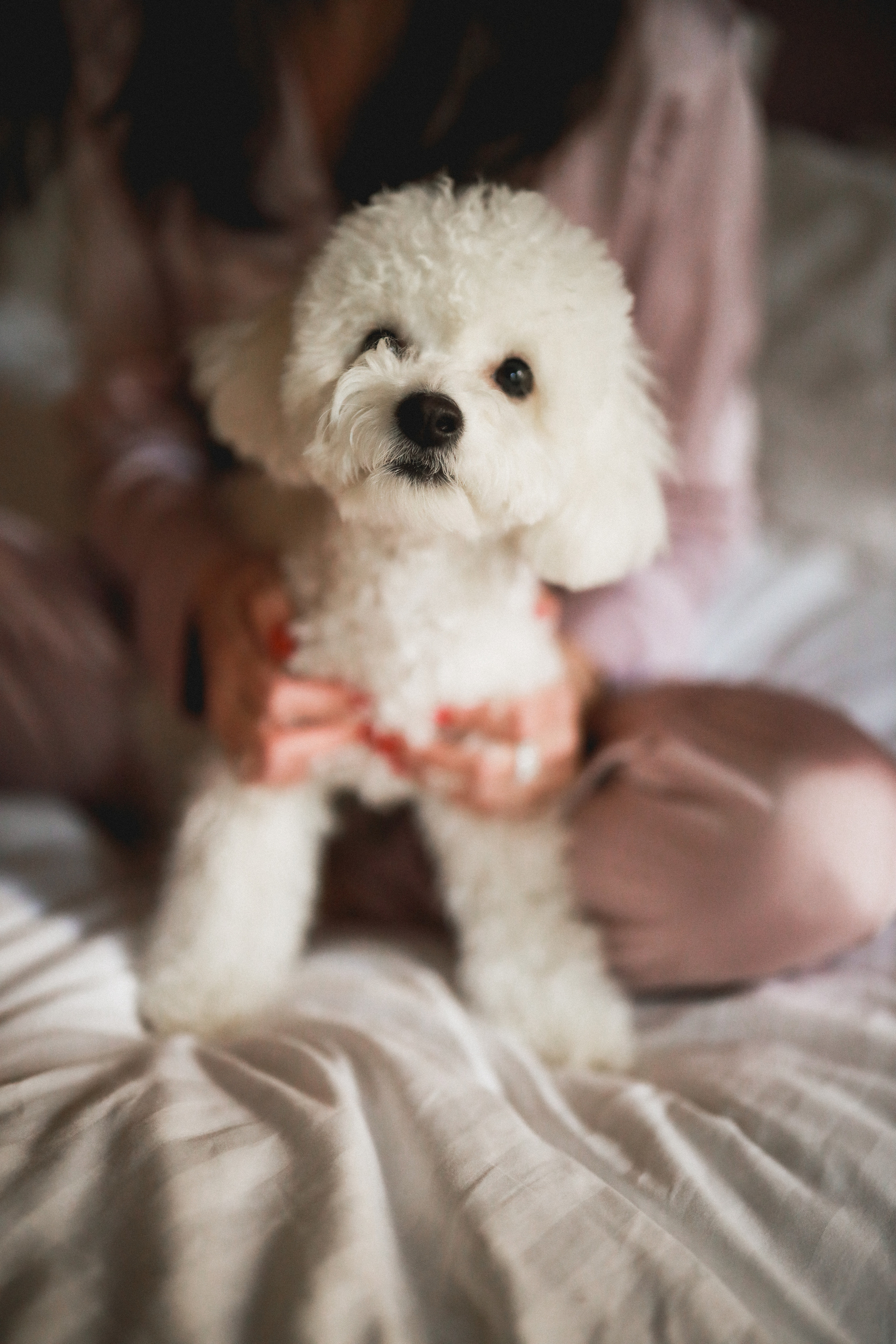 Анна пижамная вечеринка. Детский и семейный фотограф Москва Виктория Самоховец
