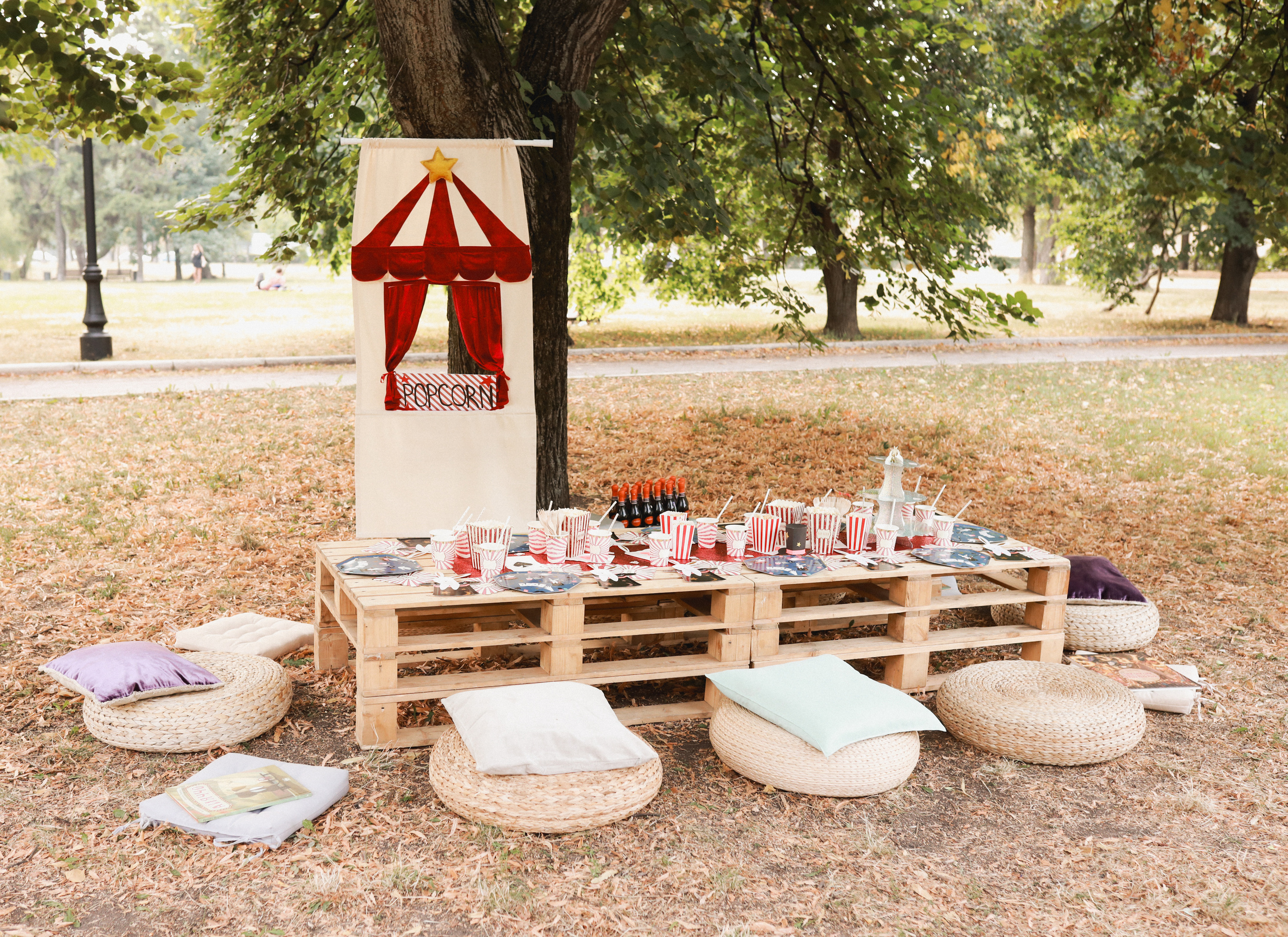 Праздник в стиле старинный цирк. Детский и семейный фотограф Москва Виктория Самоховец